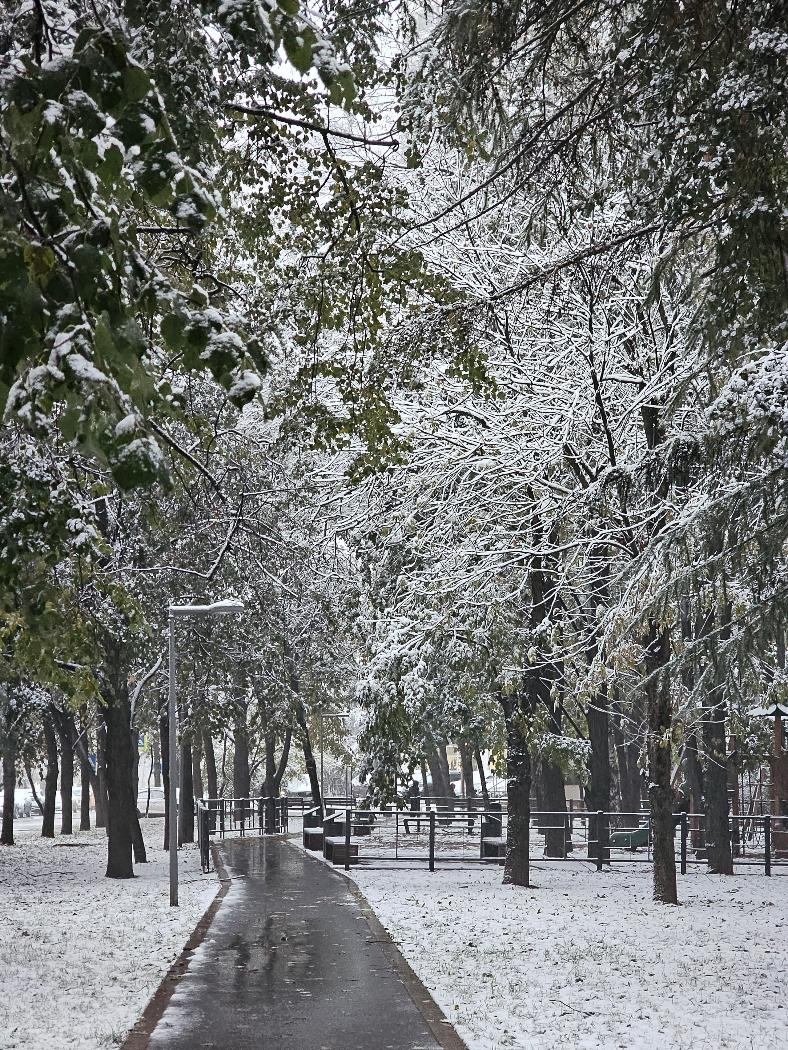 081124. Ilaronsia эстетика фото визуал