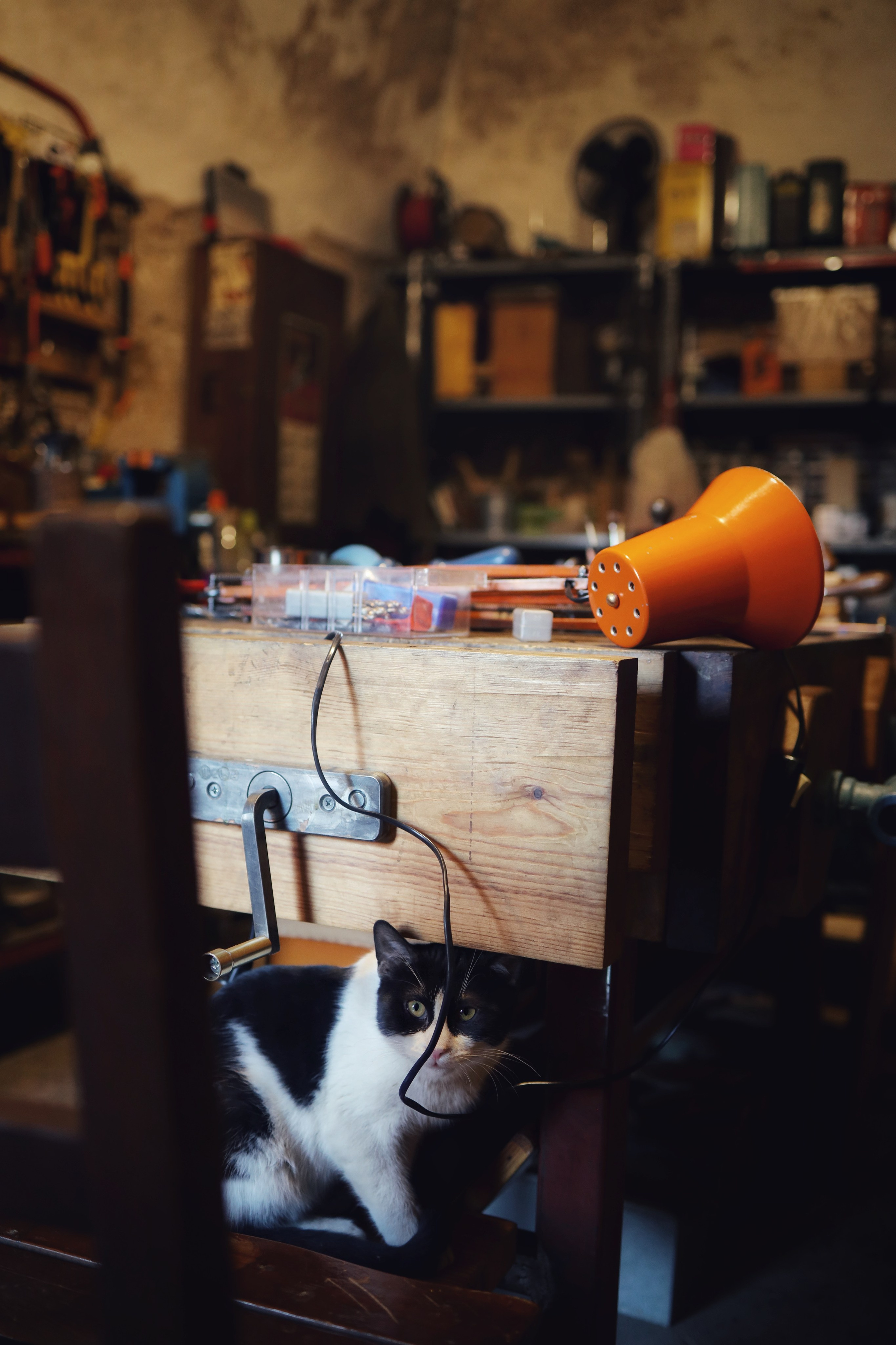 Dumrul Özdöl, Craftsman / Istanbul 2024. POLINA MÔMOT