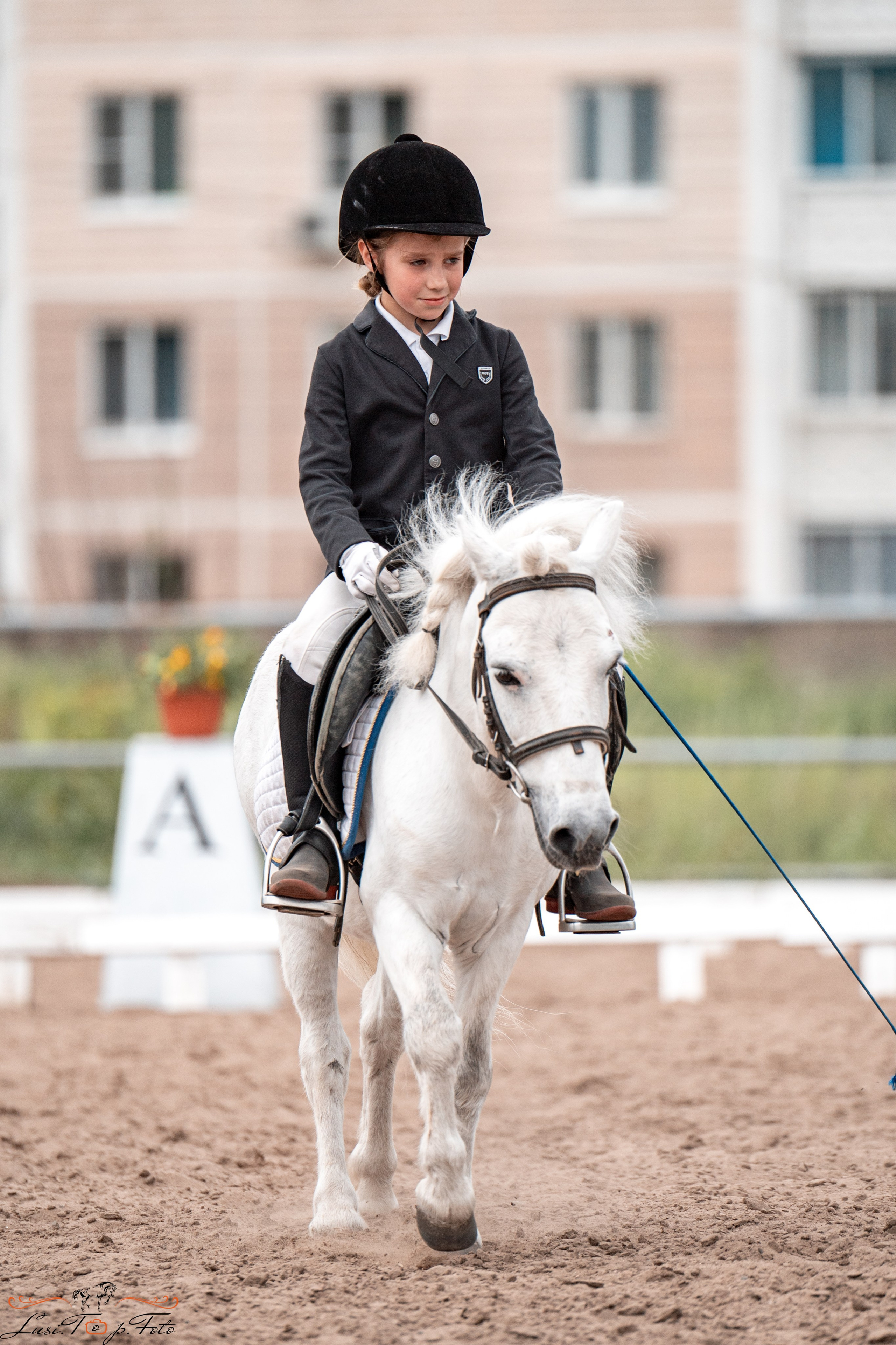 Областные соревнования по выездке. Тверь. Конный и фотограф с животными в Твери Топталова Люся