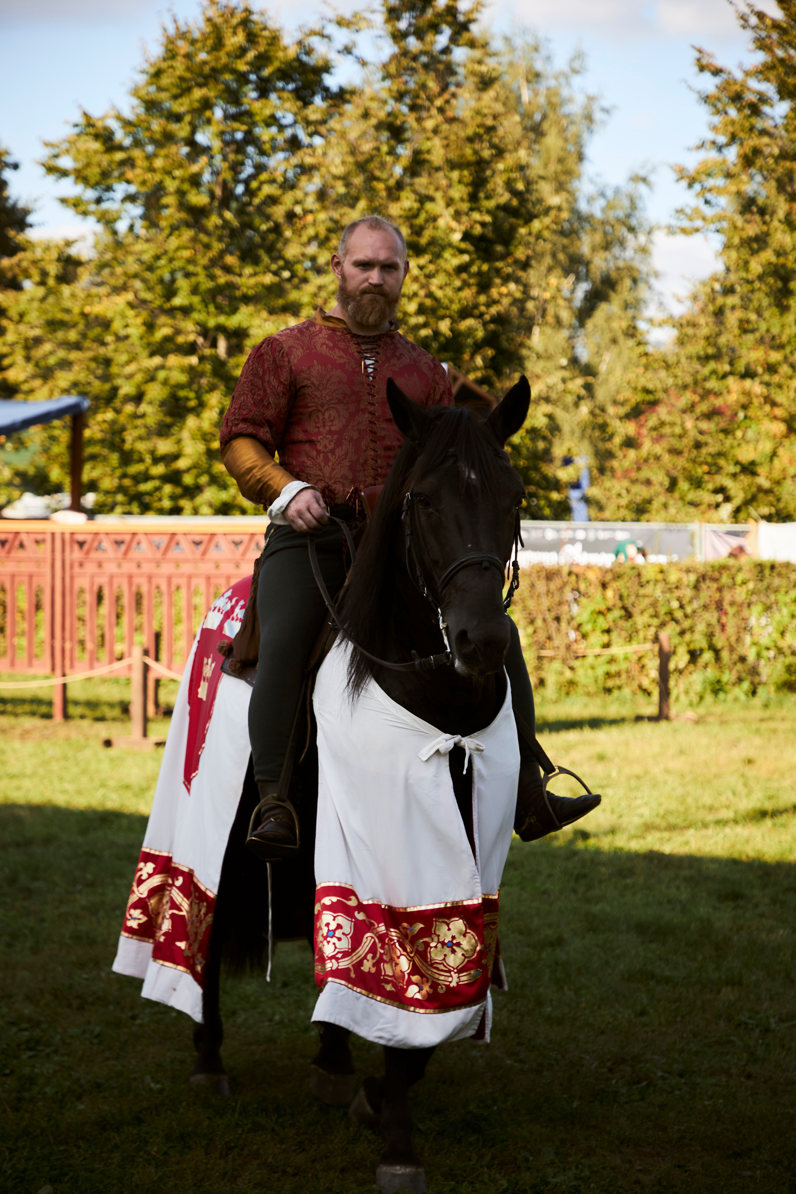 Рыцарский турнир в Москве. Анна Потявина. Фотограф Москва