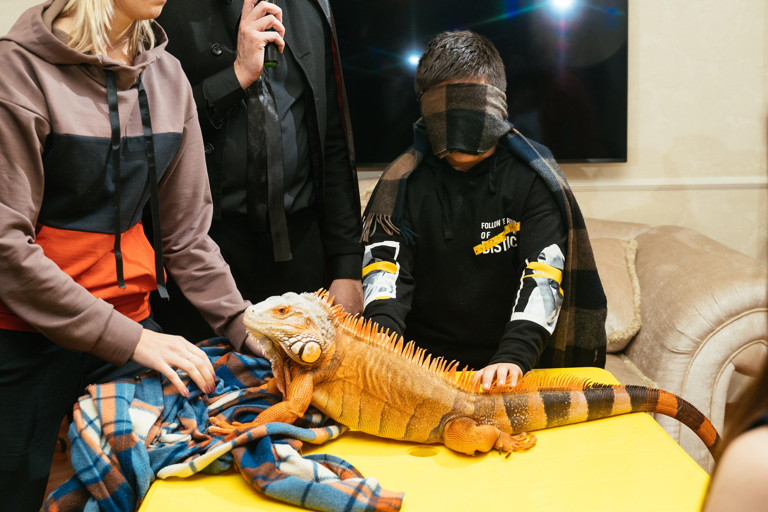 Хэллоуин и нащупай-шоу. Выпускные альбомы для детского сада и школы в Красноярске Мария Русяев