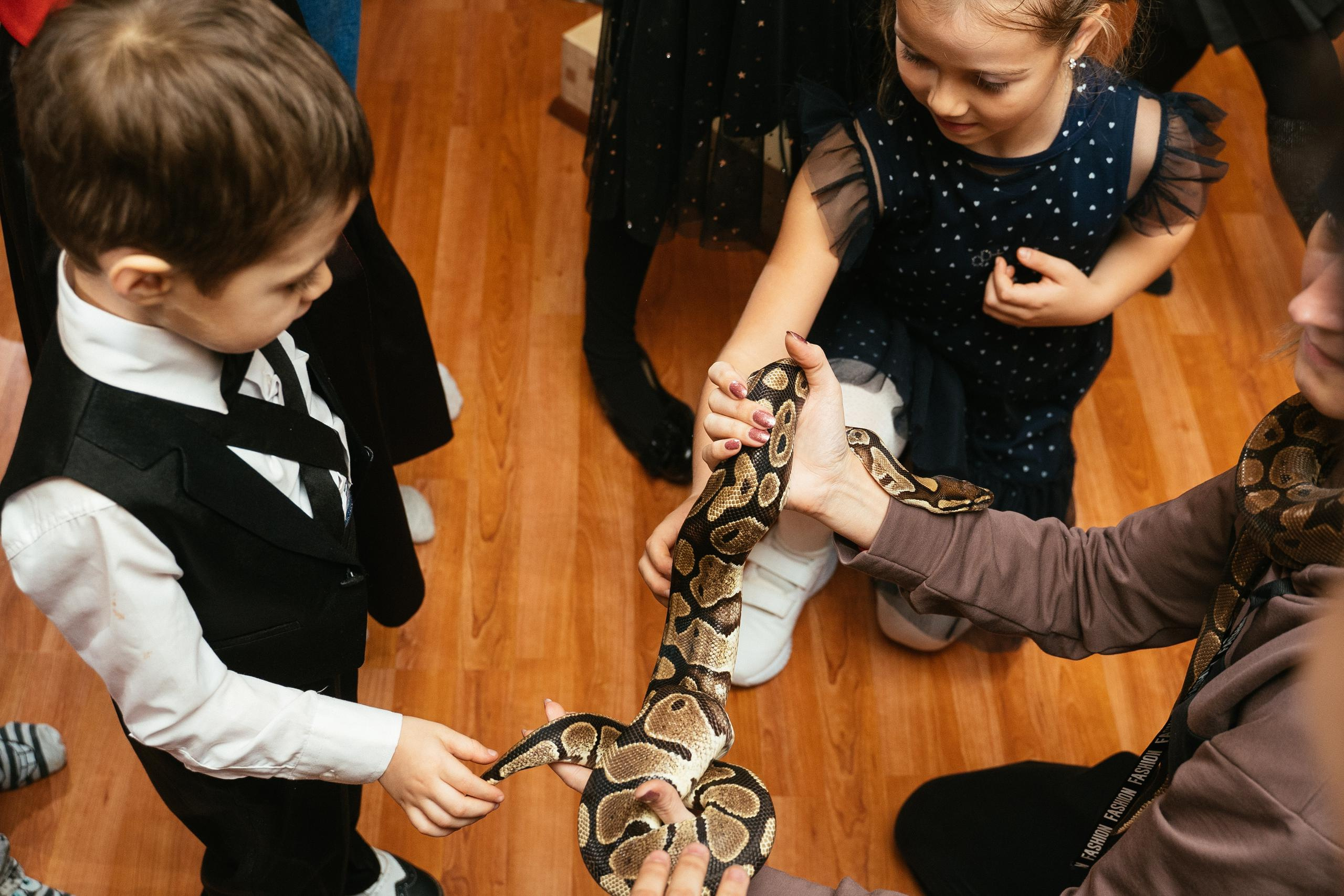 Хэллоуин и нащупай-шоу. Выпускные альбомы для детского сада и школы в Красноярске Мария Русяев