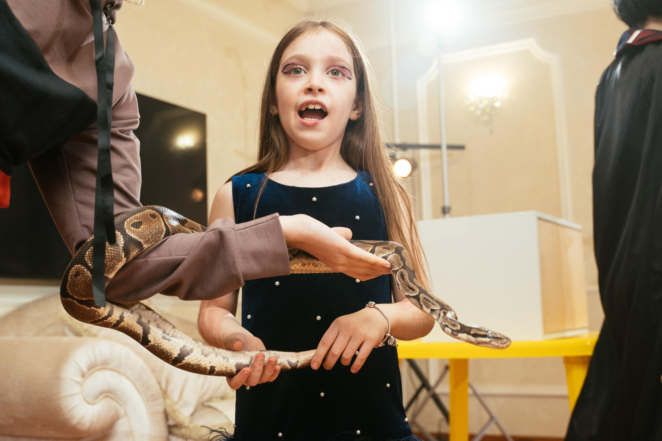 Хэллоуин и нащупай-шоу. Выпускные альбомы для детского сада и школы в Красноярске Мария Русяев