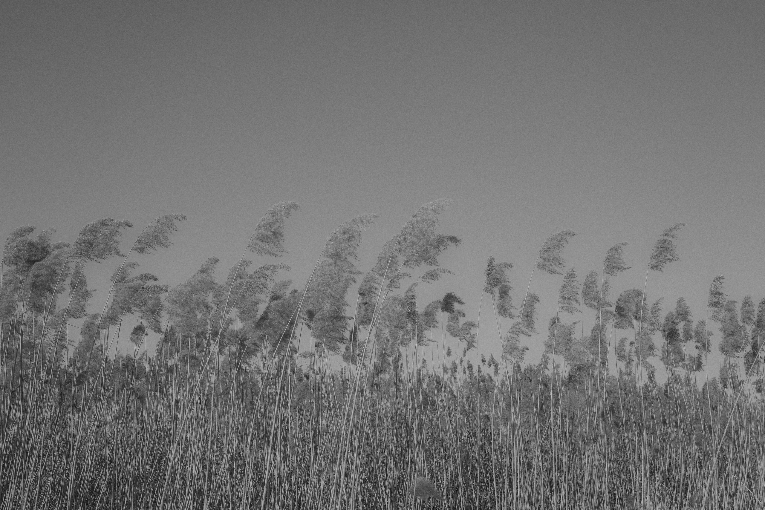 Семейный и портретный фотограф в Минске Константин Менжинский