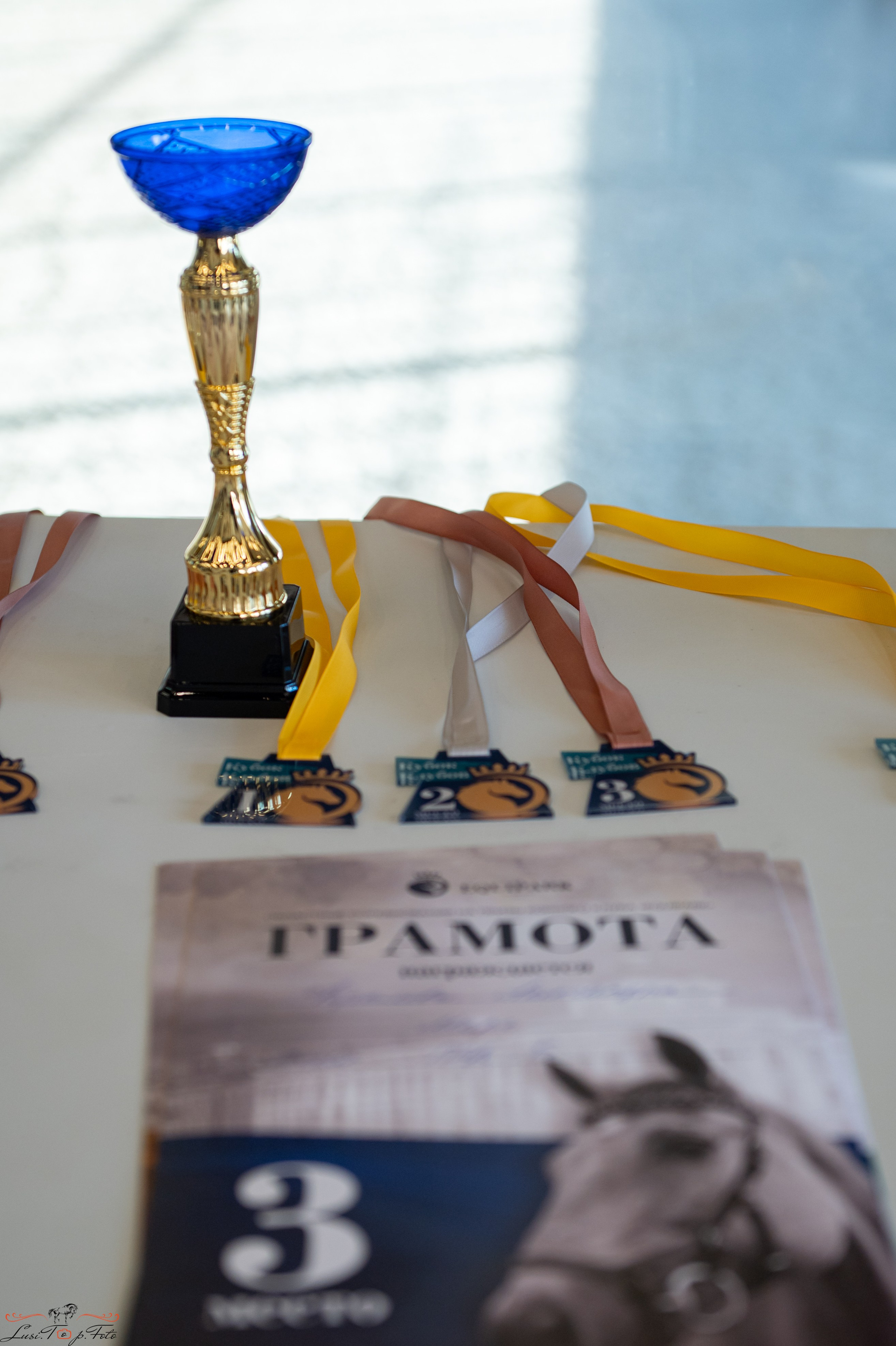 Эквипарк 6 этап Кубка Клубов. Конный и фотограф с животными в Твери Топталова Люся