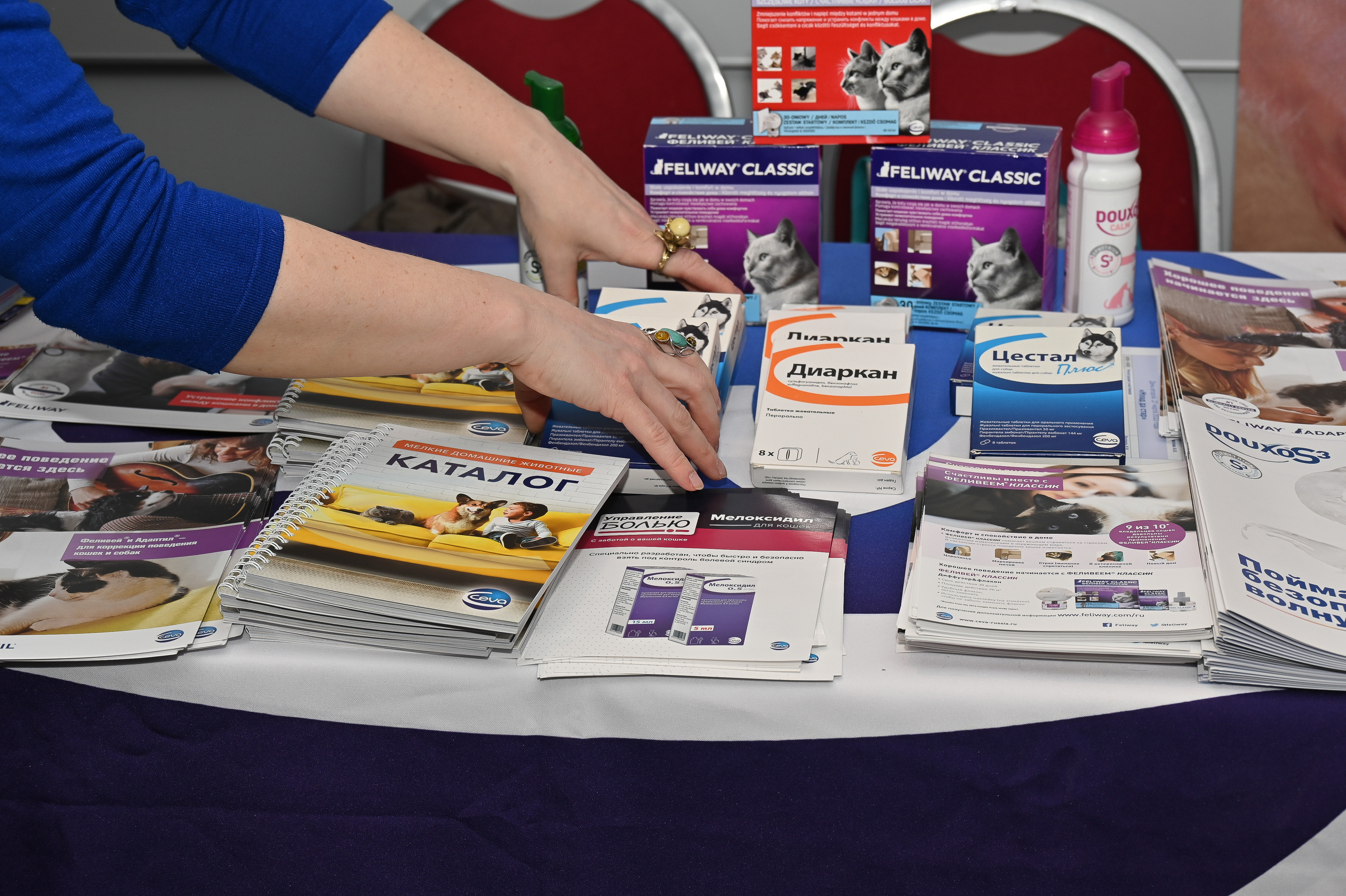 Фотосессия для конференции Hill's. Событийный фотограф в Санкт — Петербурге Elena Ushakova