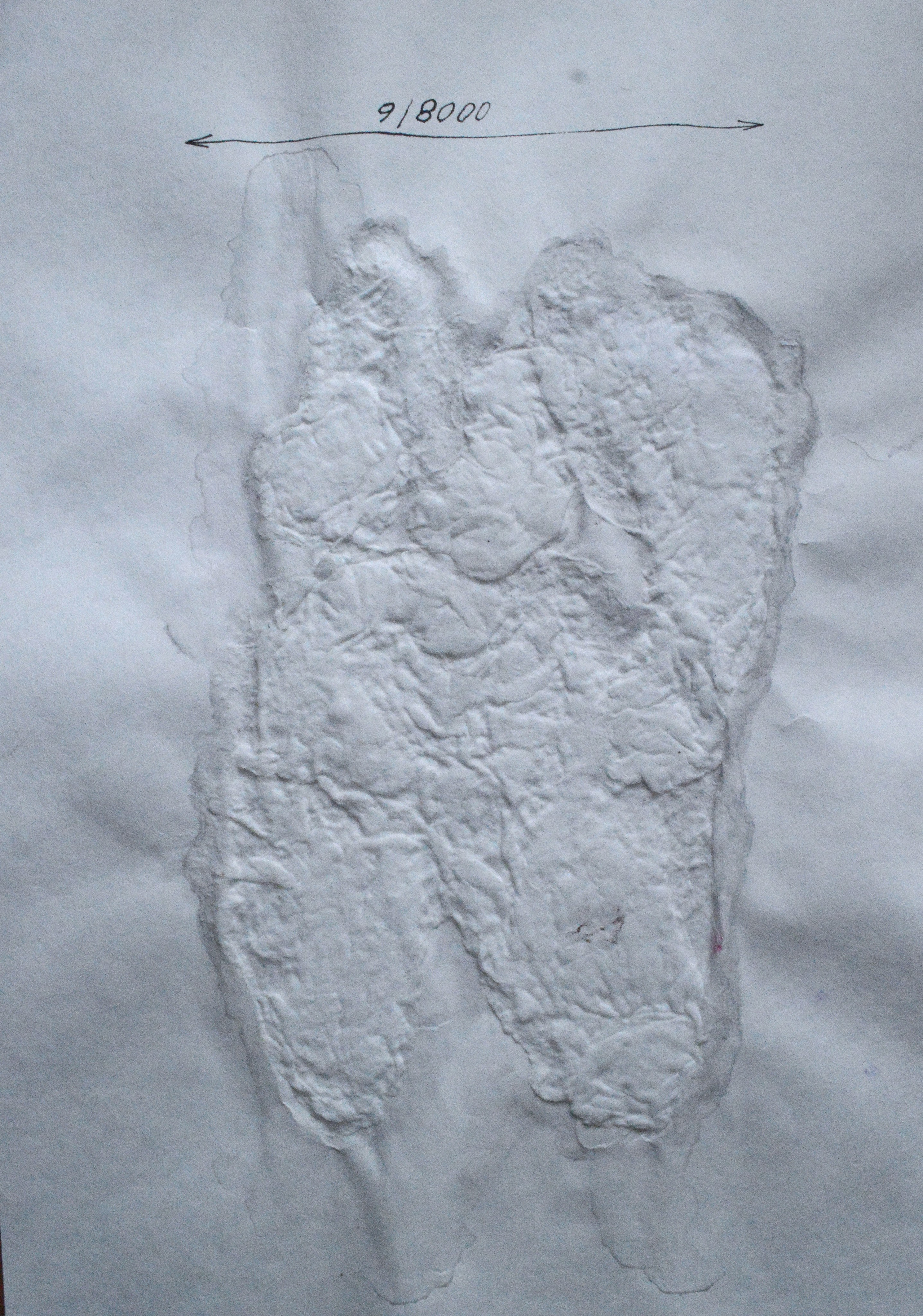 8000. 2025. Лилия Ким. Междисциплинарный художник