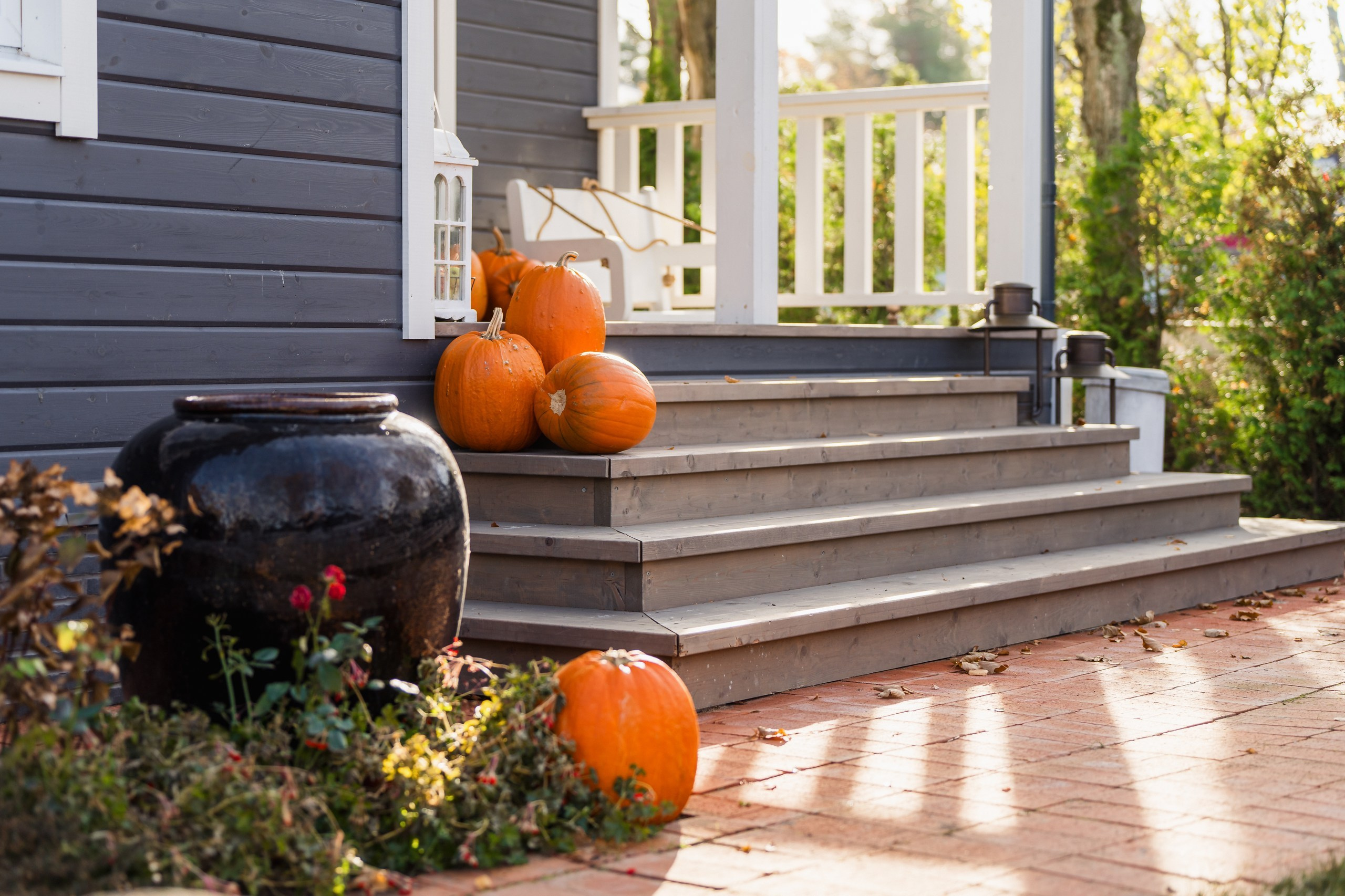 House in Lisiy Nos. Svyatoslav Bunkov | photographer