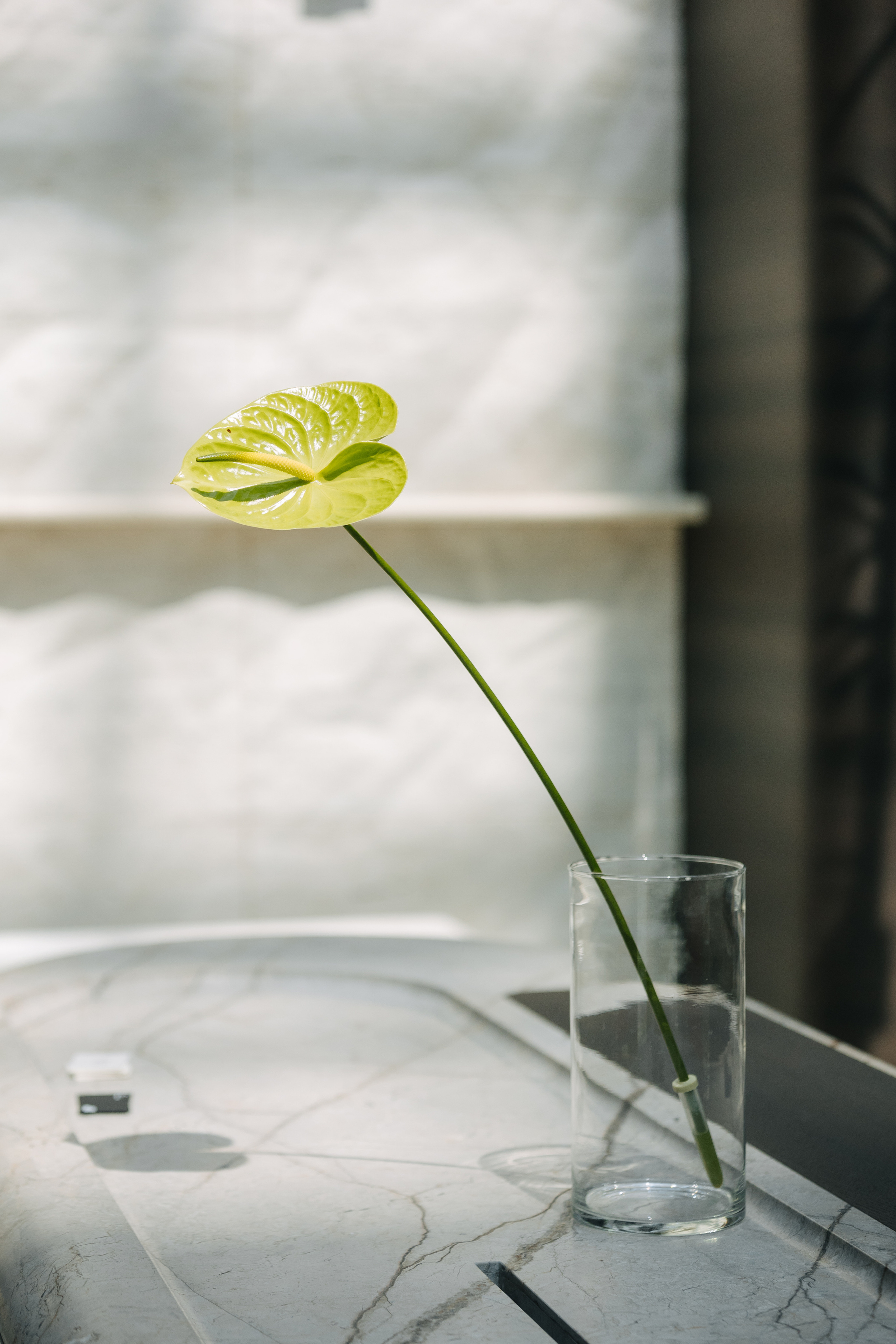 АРХ МОСКВА. ПРАКТИКУМ «ДОМА А-КЛАССА»