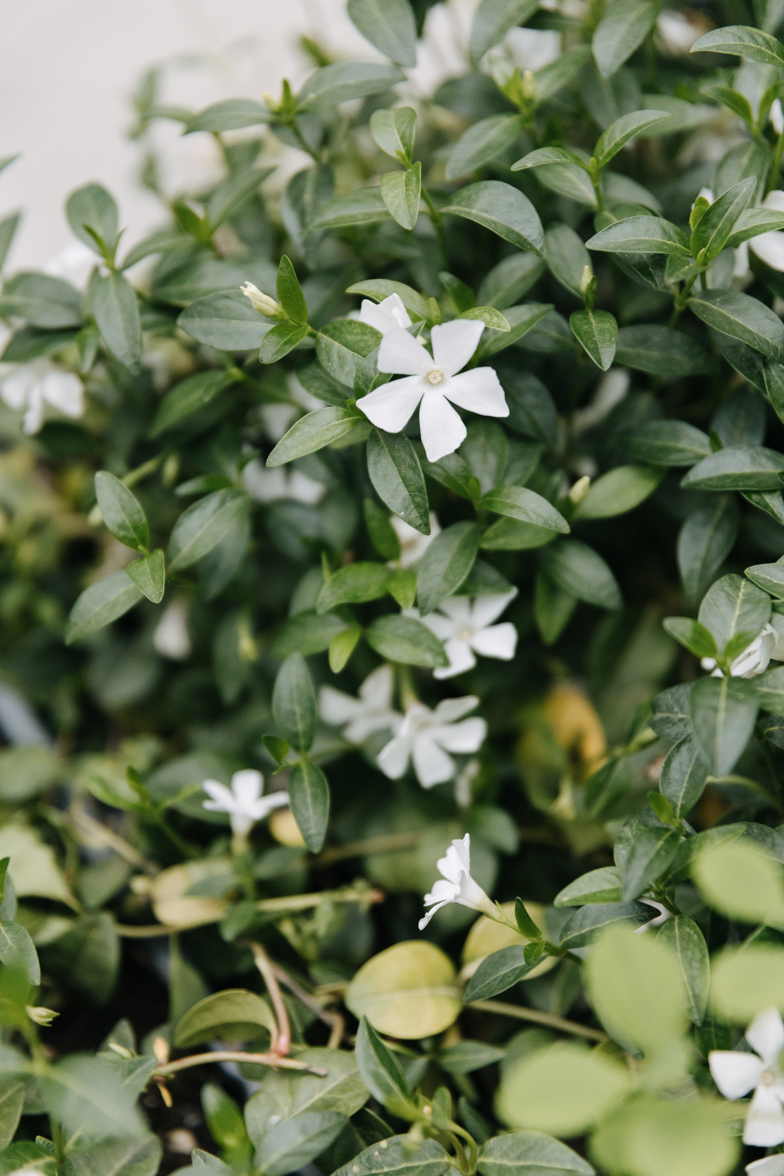 АРХ МОСКВА. ПРАКТИКУМ «ДОМА А-КЛАССА»