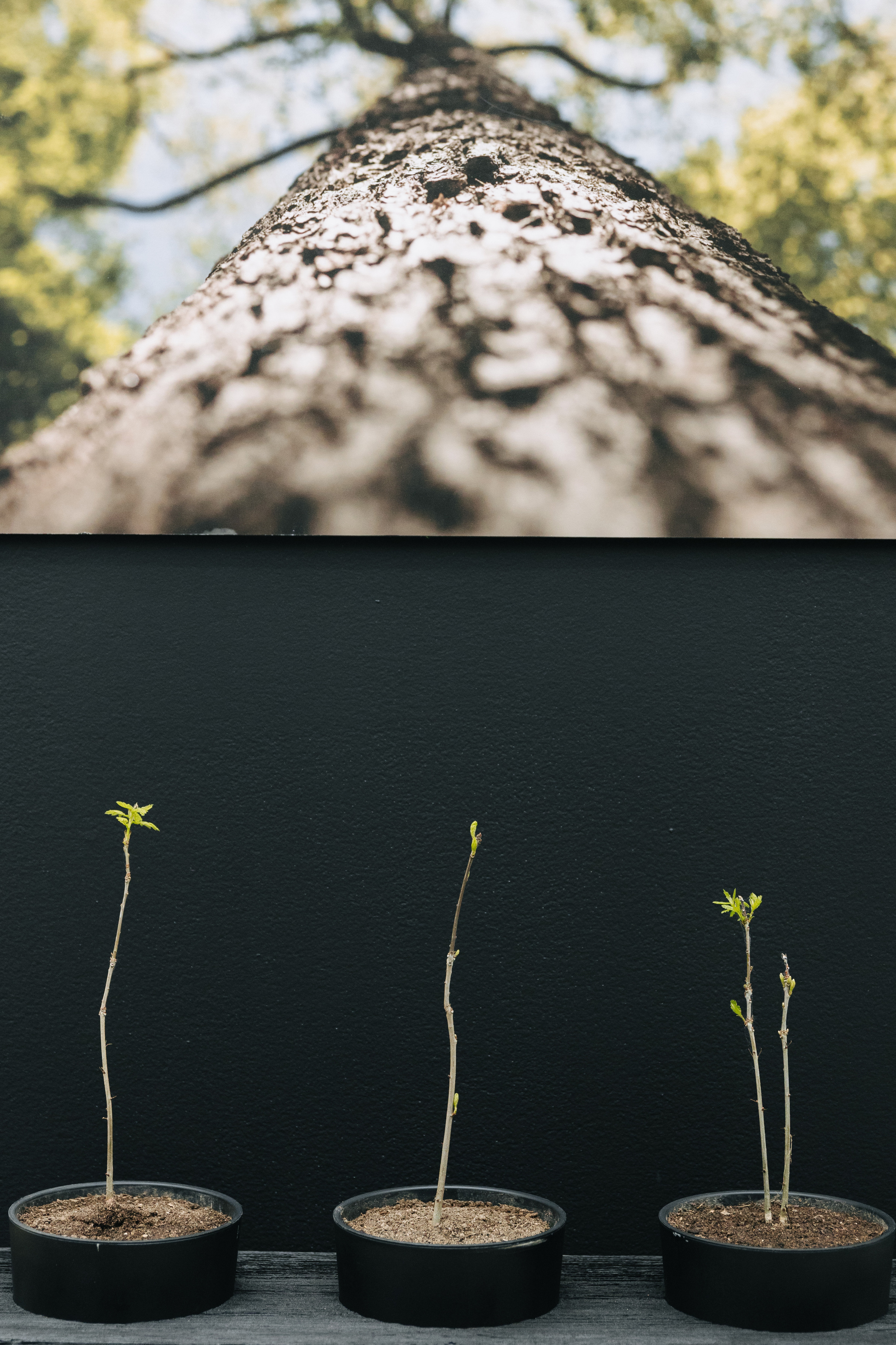 АРХ МОСКВА. ПРАКТИКУМ «ДОМА А-КЛАССА»