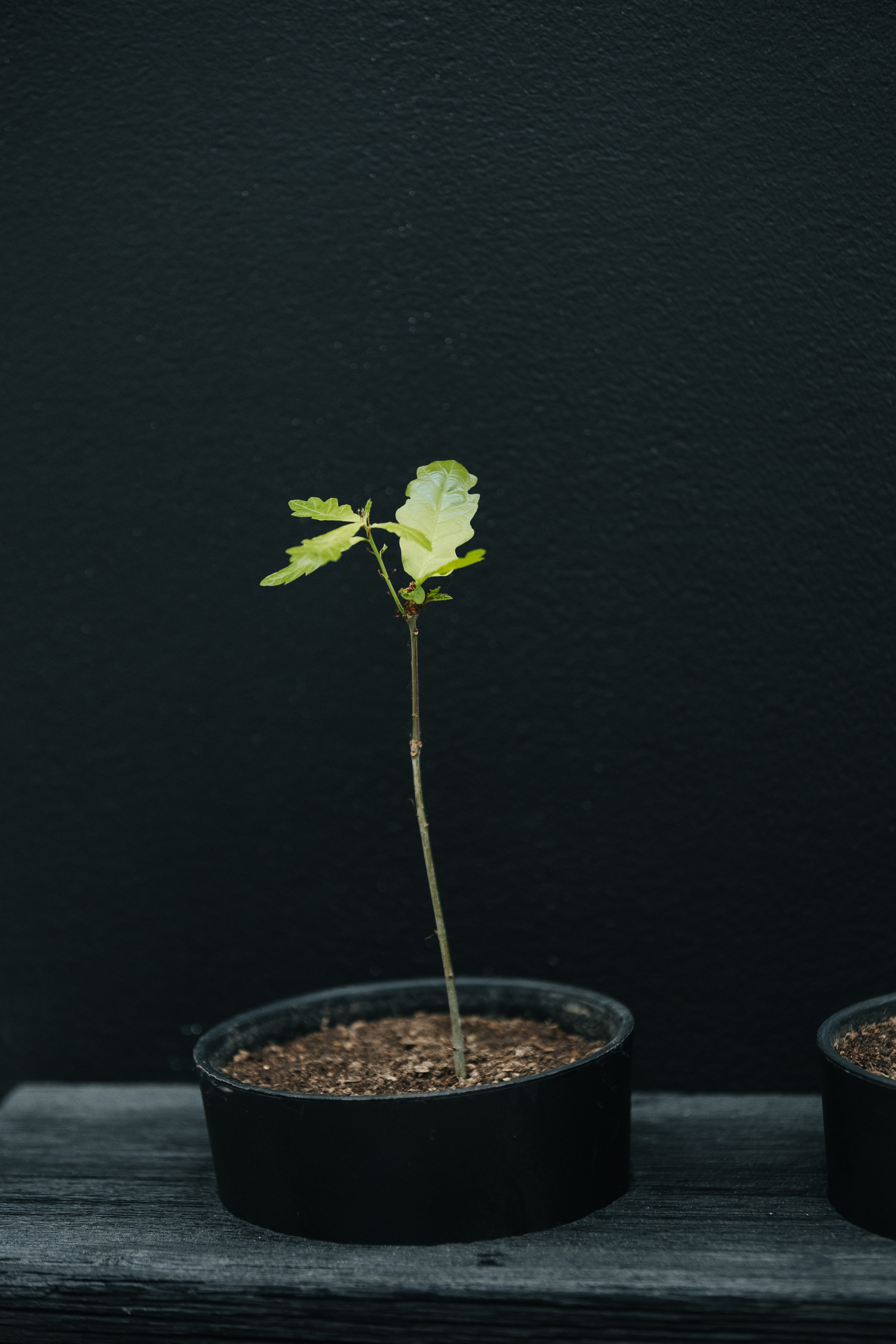 АРХ МОСКВА. ПРАКТИКУМ «ДОМА А-КЛАССА»