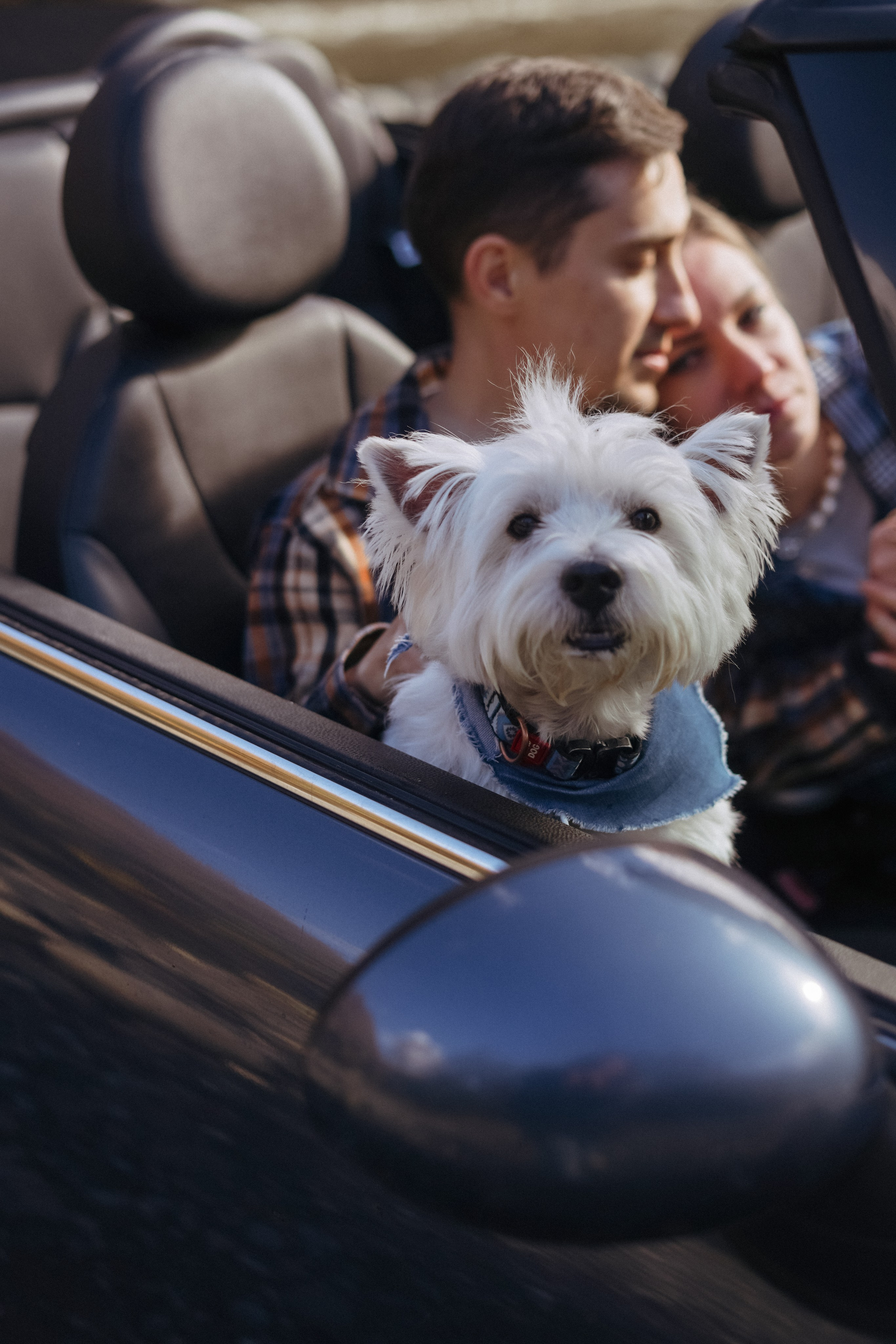 Миша, Лена, Лакки и мини-купер. Фотограф в Сочи и Абхазии | Фототуры | September Air
