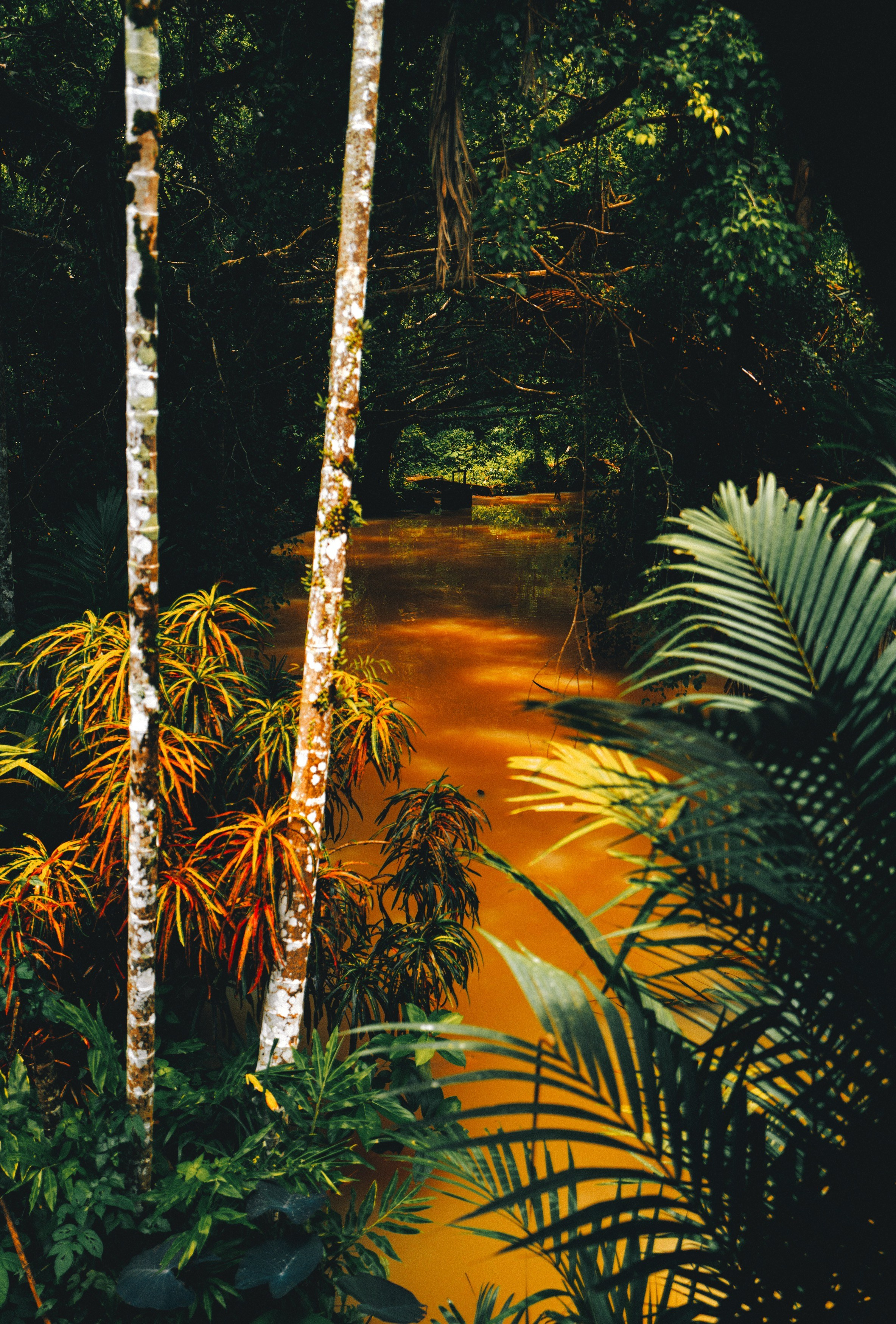 AUTHENTIC FILM. Visual artist Daniil Kontorovich