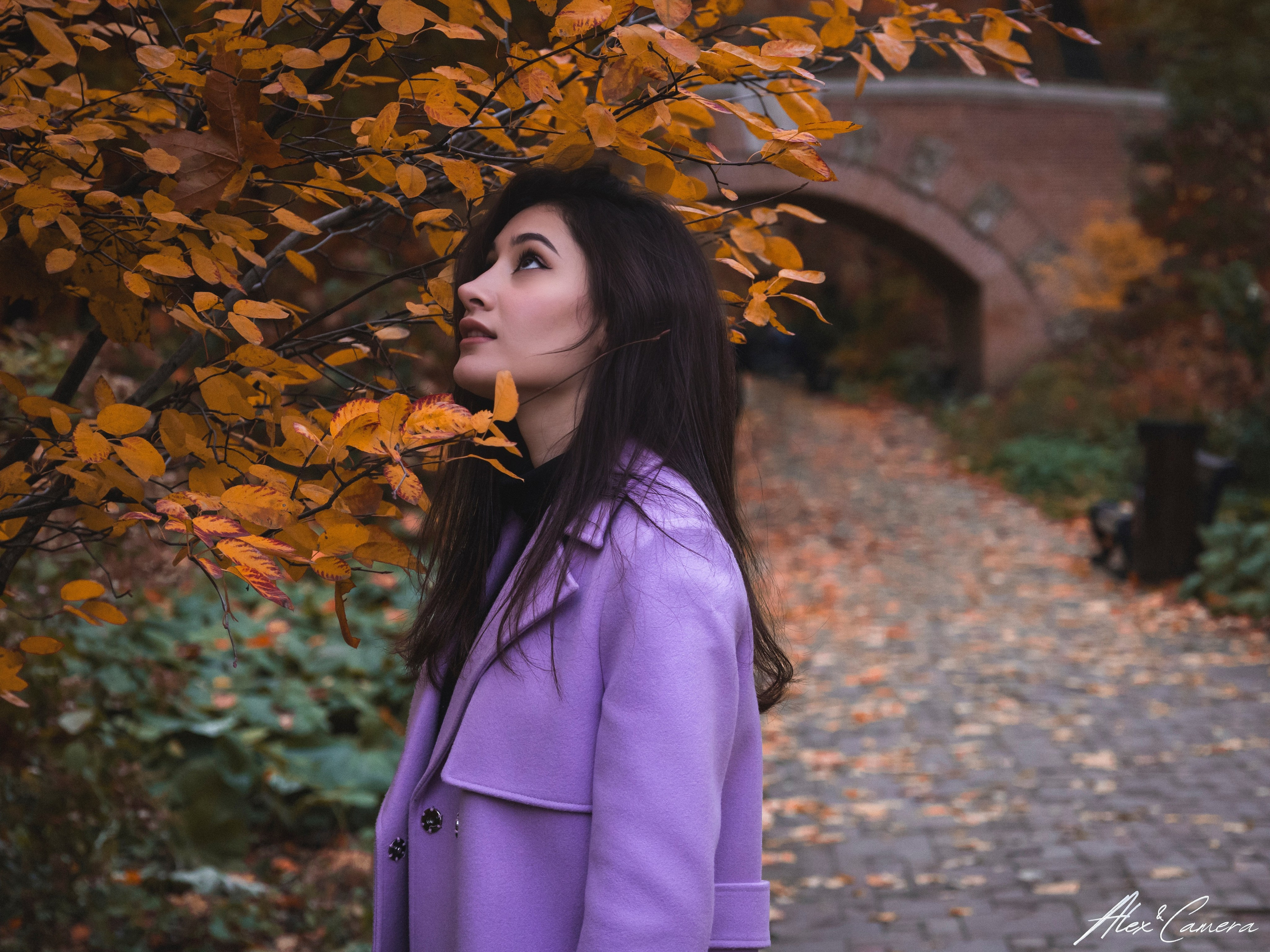 Осень в разгаре!. Alex&Camera Photography