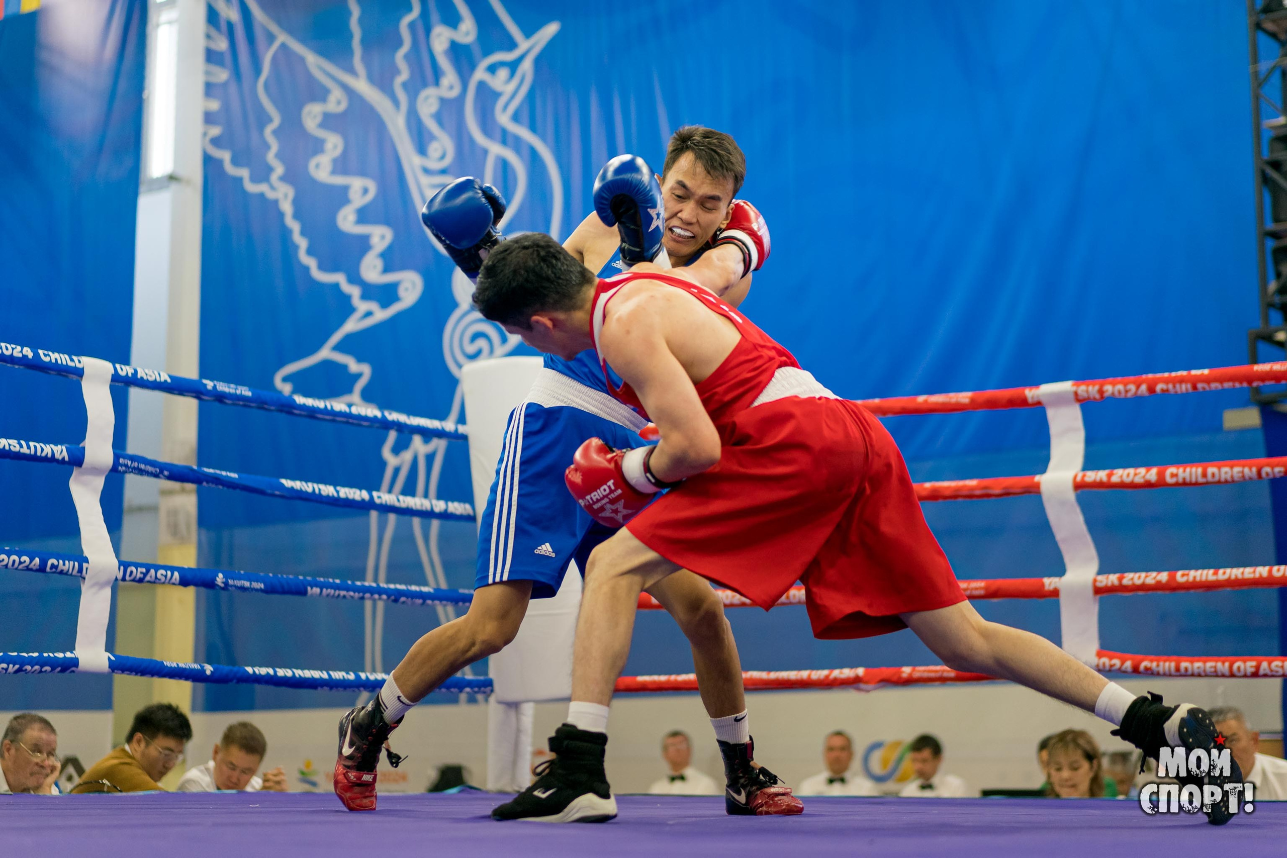 Всероссийский турнир по боксу памяти А. И. Федотова. Студия «Мой Спорт!» — все о спорте в Якутии
