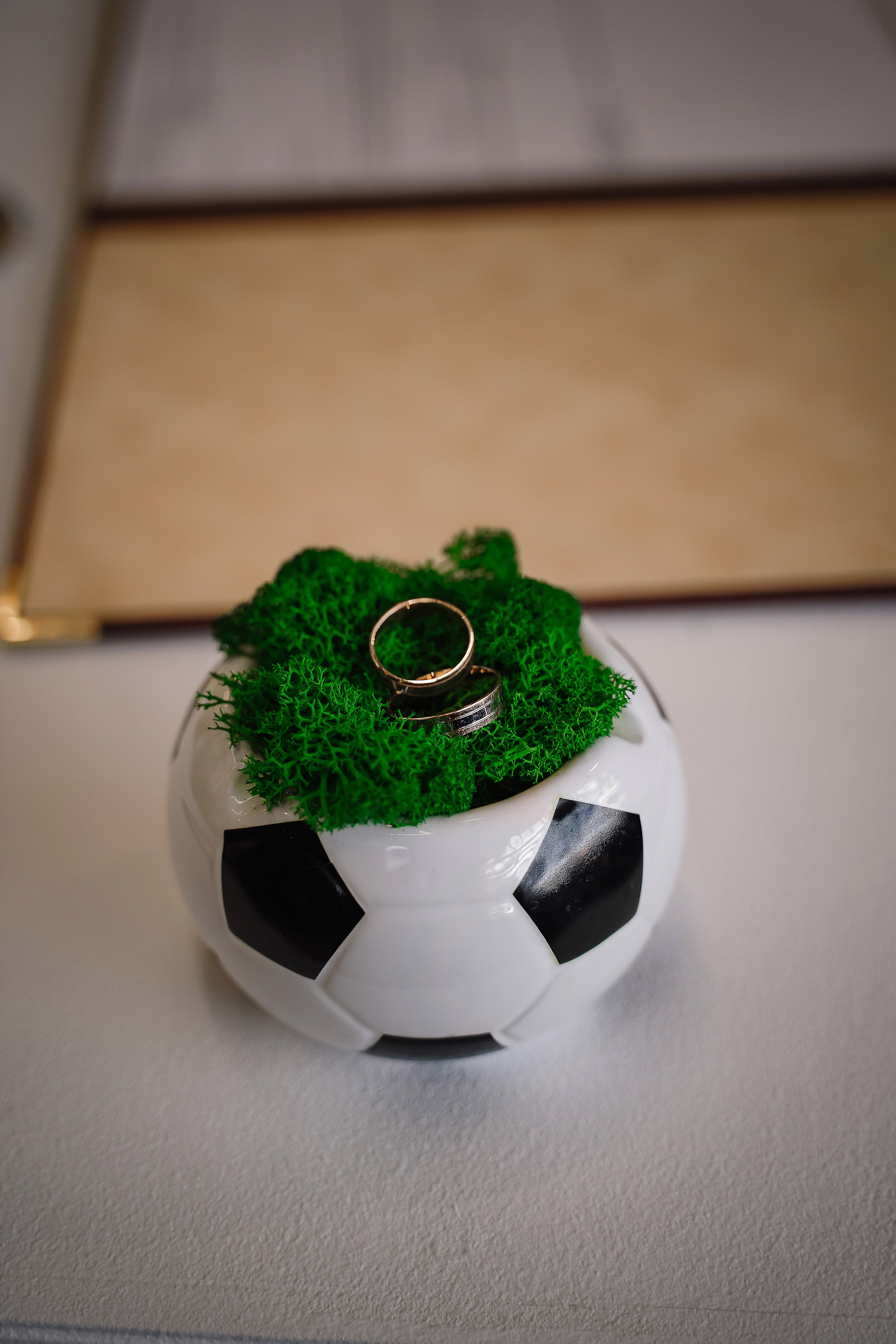 Свадебная фотосессия на стадионе Спартак Тушино