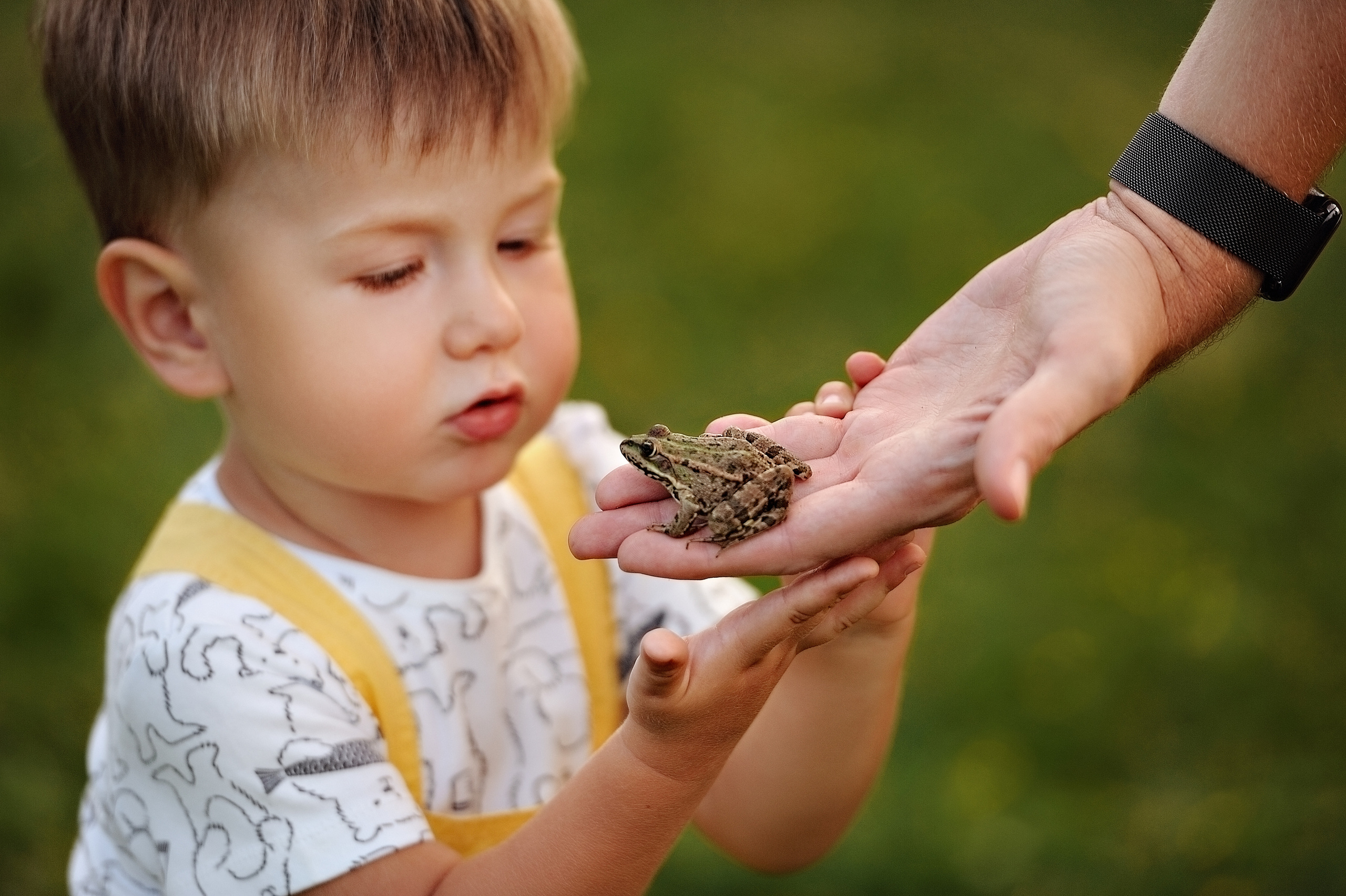 Семейная фотосессия Катя, Сергей и Миша. Свадебный и семейный фотограф в Самаре Головань Наталья
