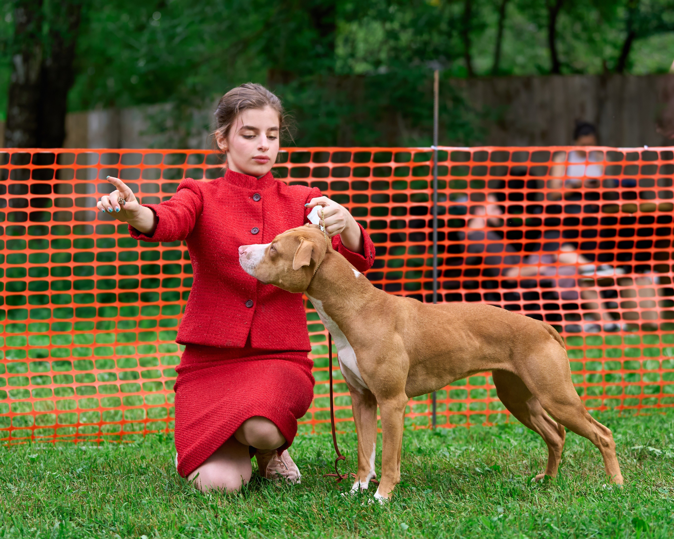 Золотой Кубок — 2024. Фотограф-анималист Михаил Манухин