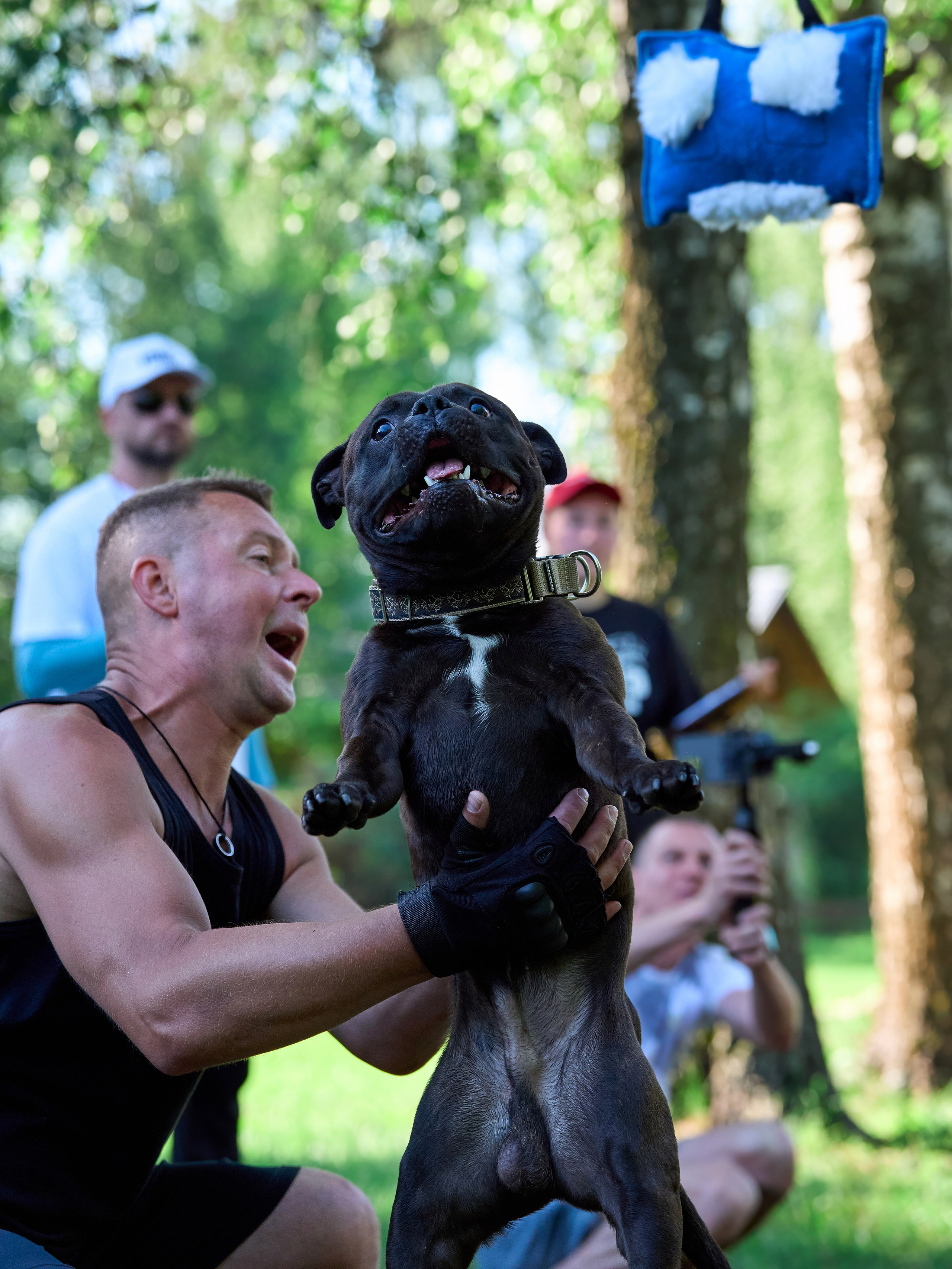 Двухдневные соревнования «Jump'n'Gym Fest — 2024». Фотограф-анималист Михаил Манухин