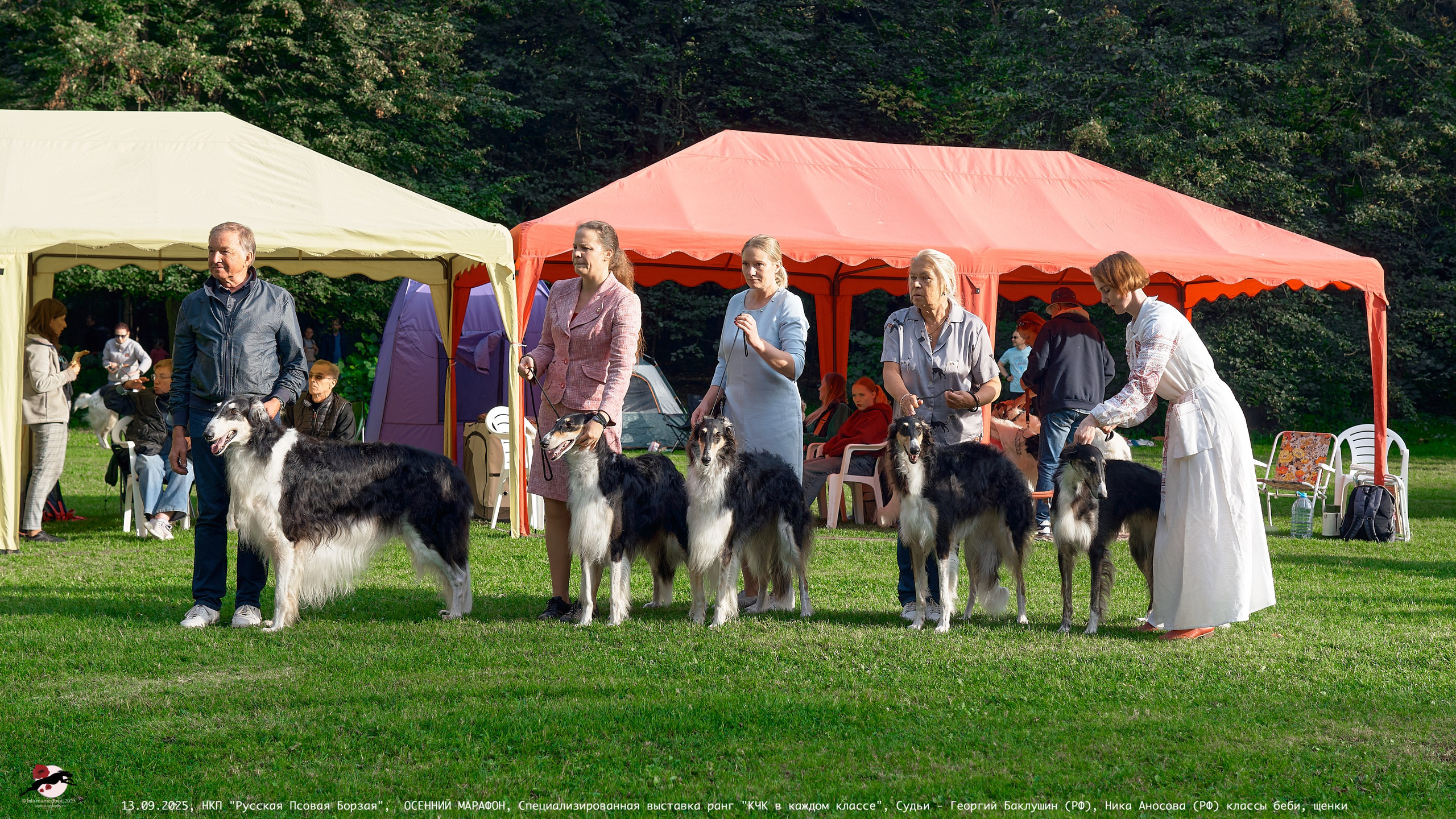 ОСЕННИЙ МАРАФОН | Специализированная выставка породы Русская Псовая Борзая ранг "КЧК в каждом классе"