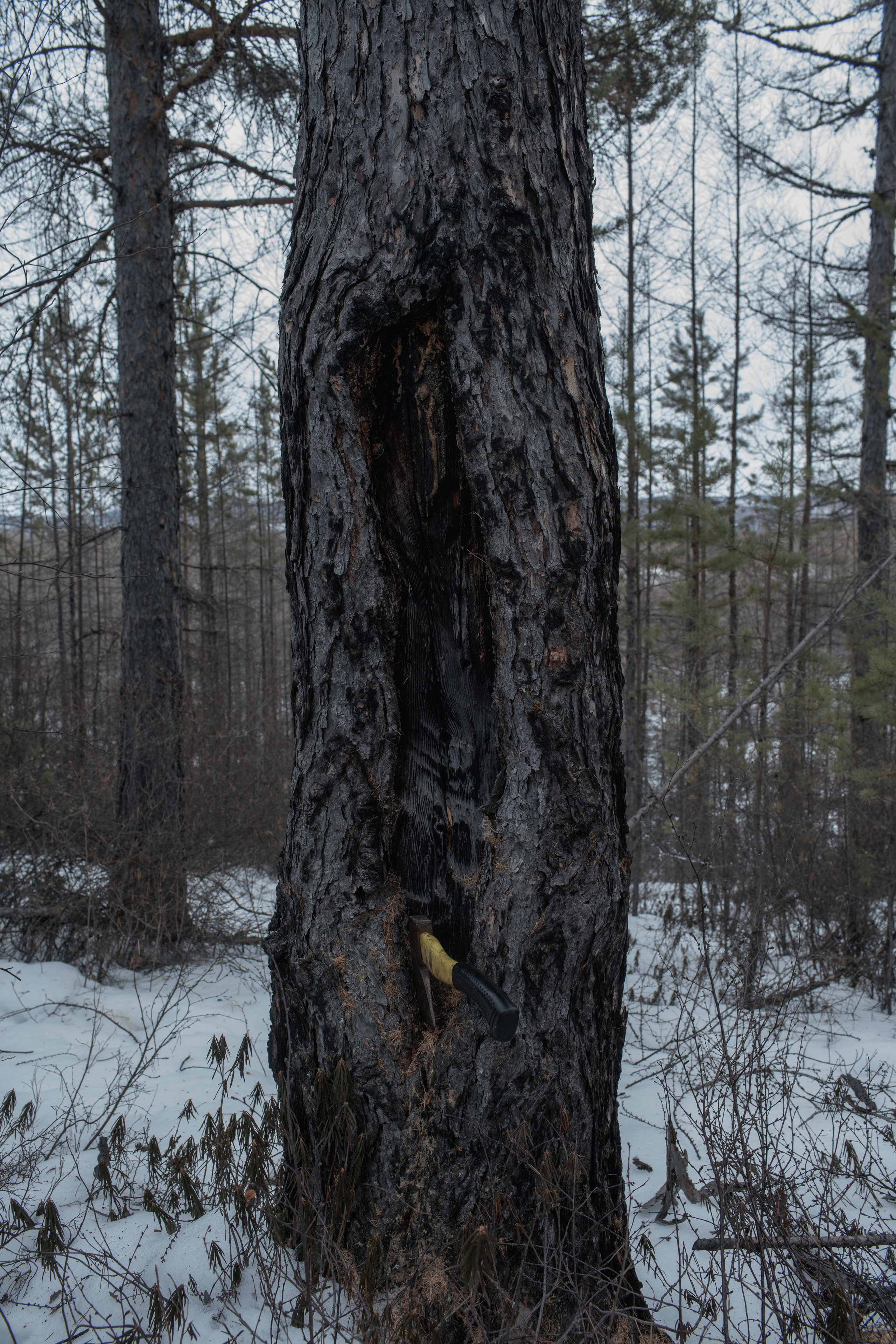 Фотопроект о семейной памяти и травме. Vasily Pindyurin visual artist