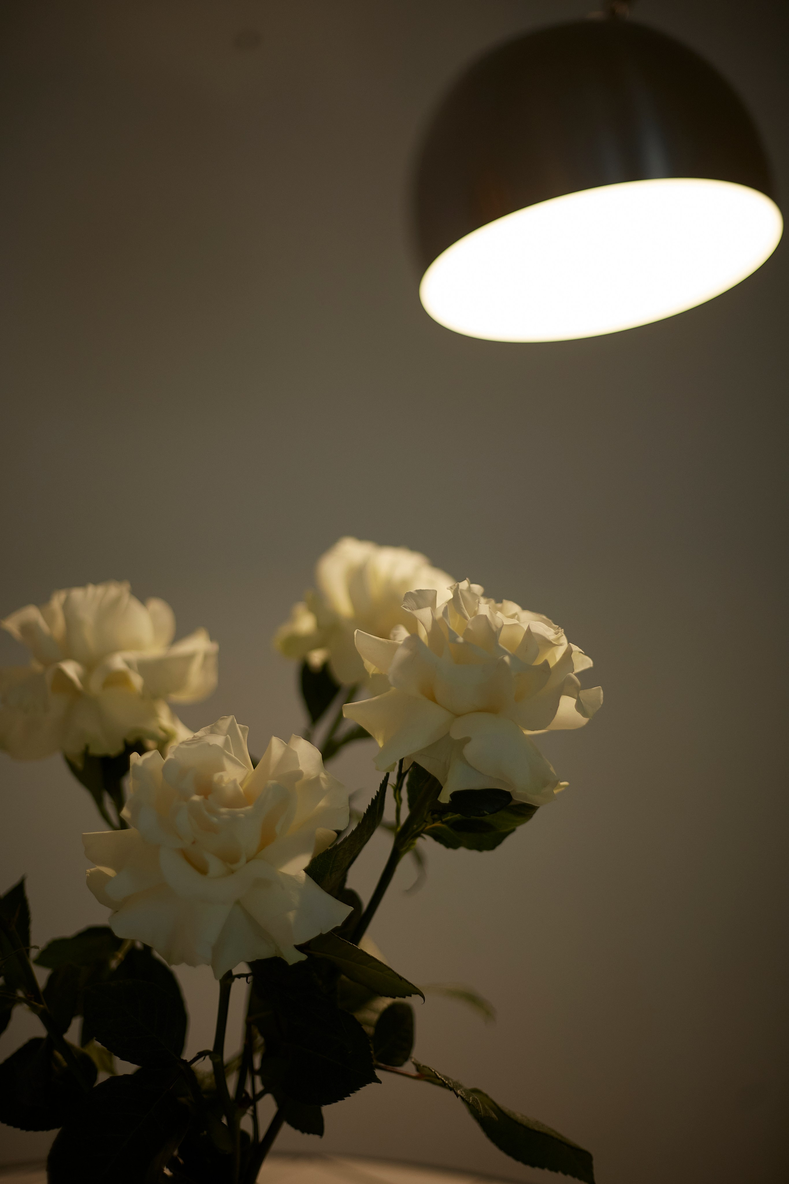 Валерия — управляющая проекта Обни (me). Анастасия Зобнинá — фотограф в Санкт-Петербурге/СПб