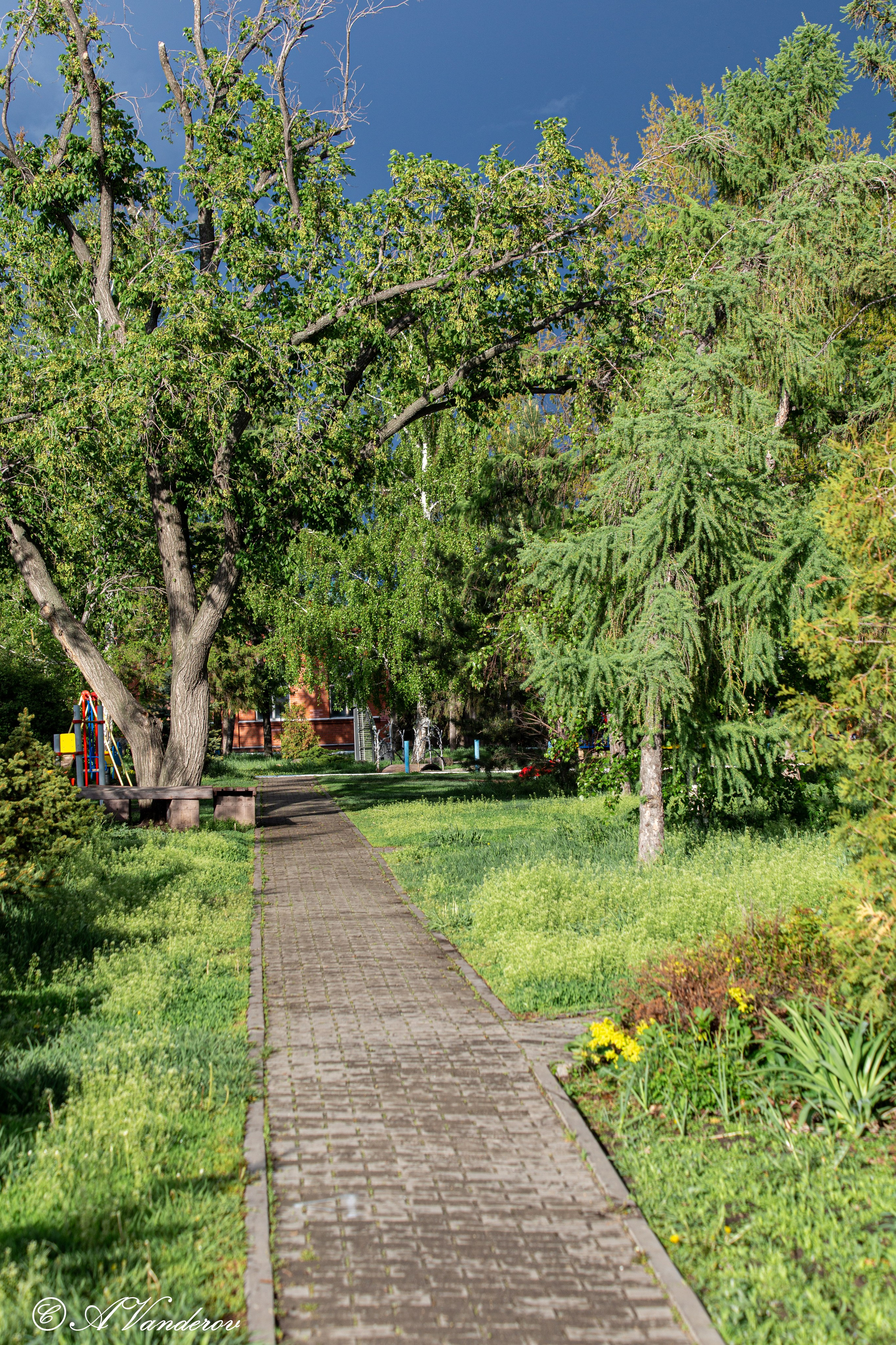 Прогулка 22.05.2024. Фотограф Омск | Александр Вандеров