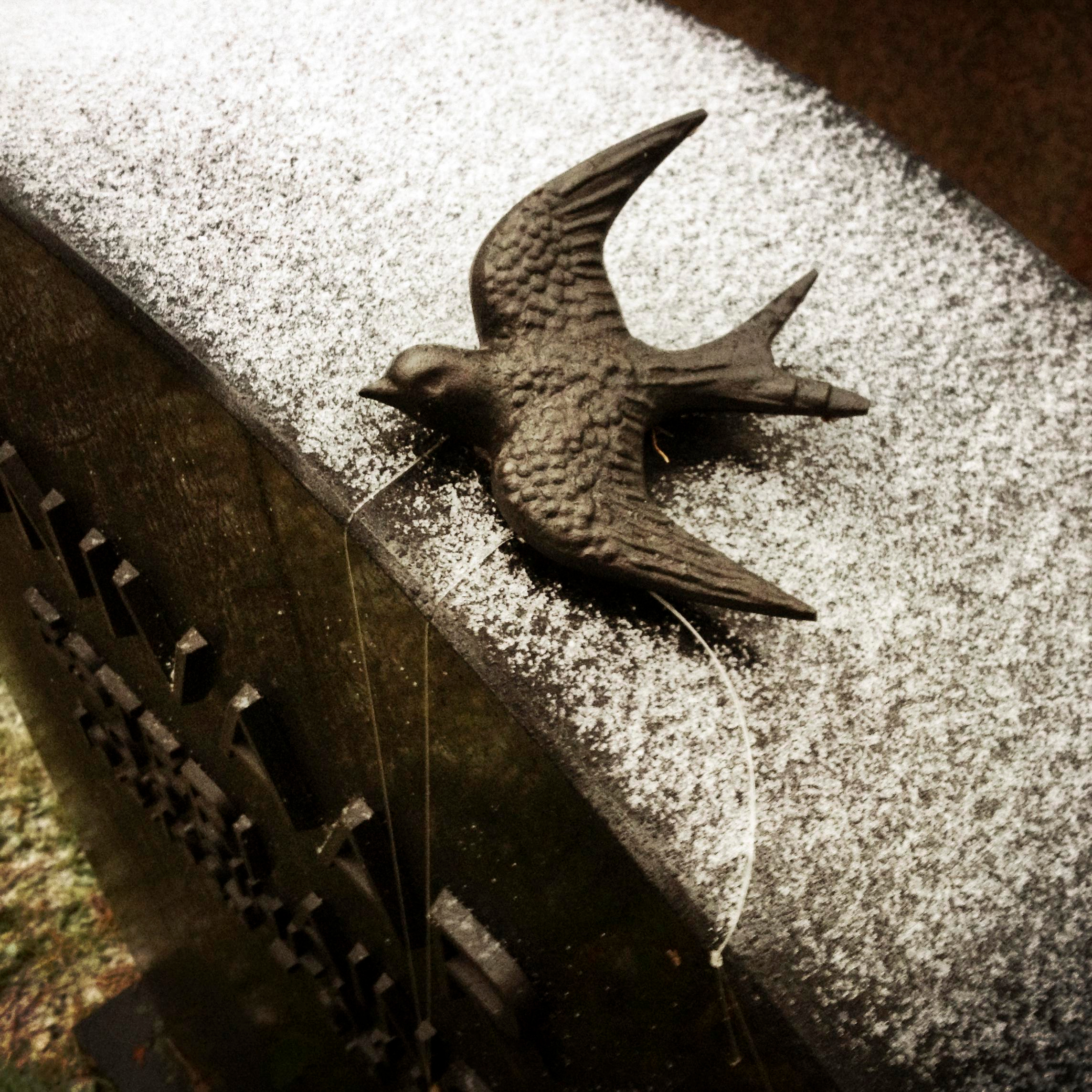 СНОВА СВЕЖАЯ ТРАВА, 2010–2015. Soulstamina ~ graphic designer & visual artist from St.Petersburg