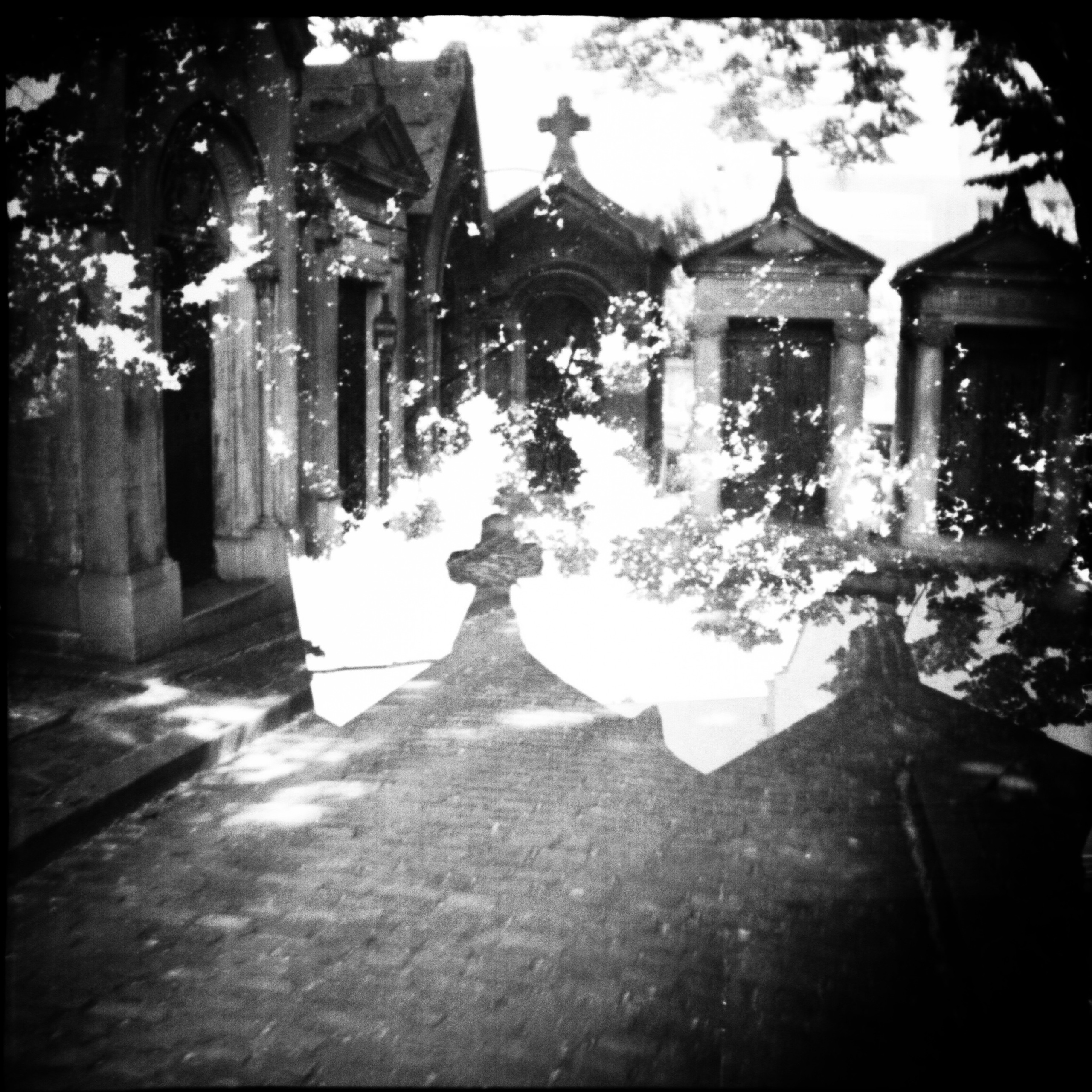 СНОВА СВЕЖАЯ ТРАВА, 2010–2015. Soulstamina ~ graphic designer & visual artist from St.Petersburg