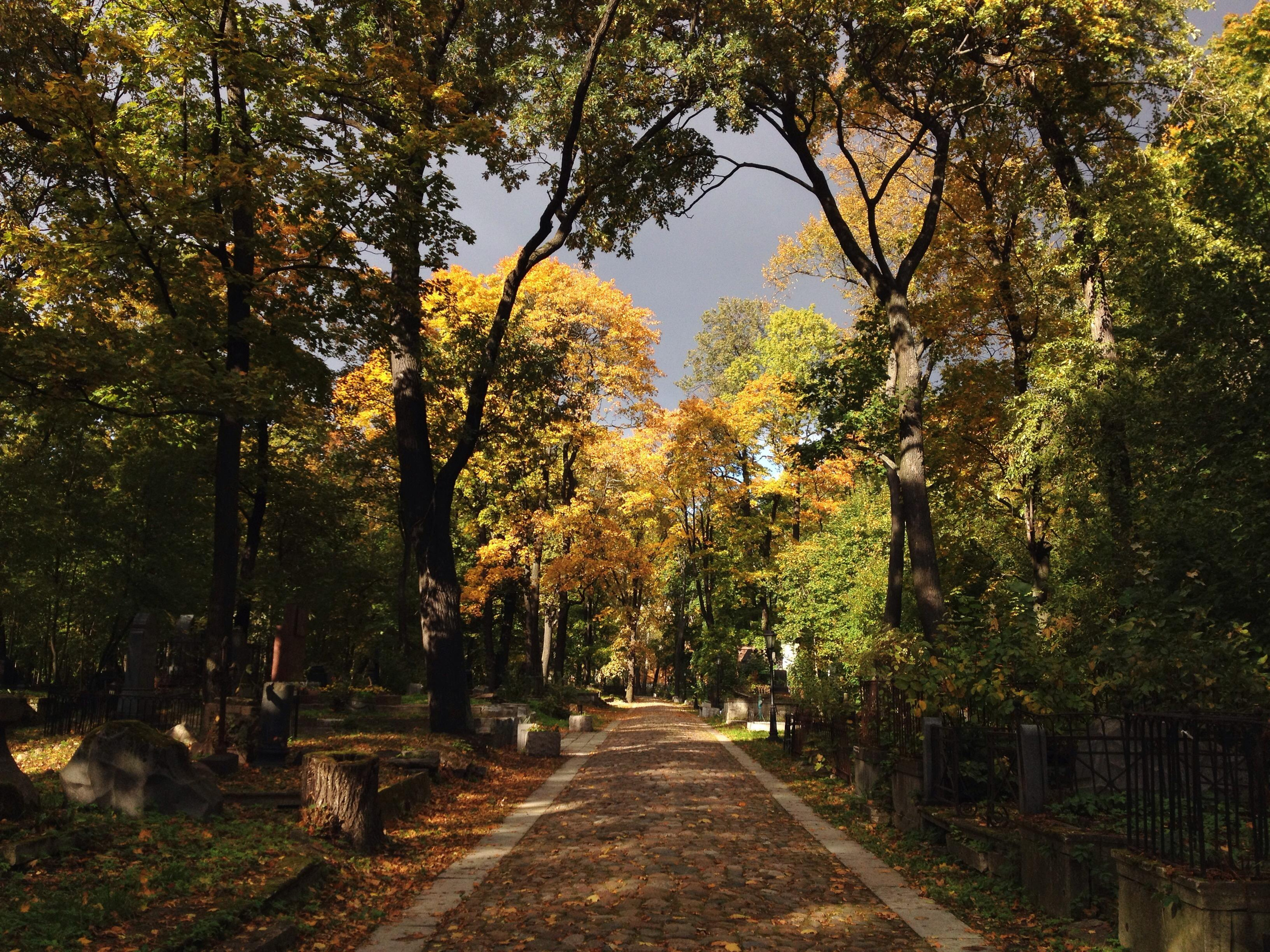 СНОВА СВЕЖАЯ ТРАВА, 2010–2015. Soulstamina ~ graphic designer & visual artist from St.Petersburg