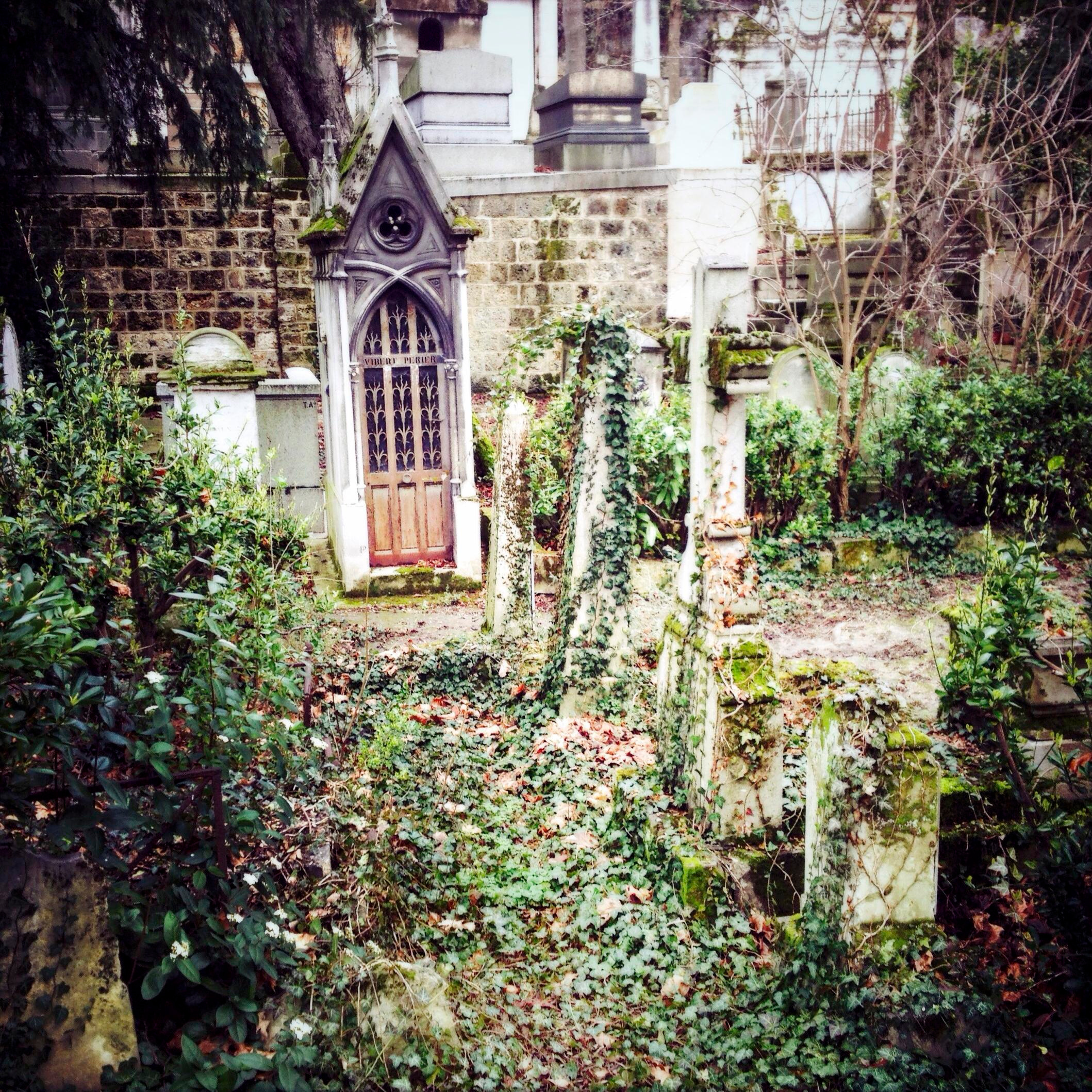 СНОВА СВЕЖАЯ ТРАВА, 2010–2015. Soulstamina ~ graphic designer & visual artist from St.Petersburg