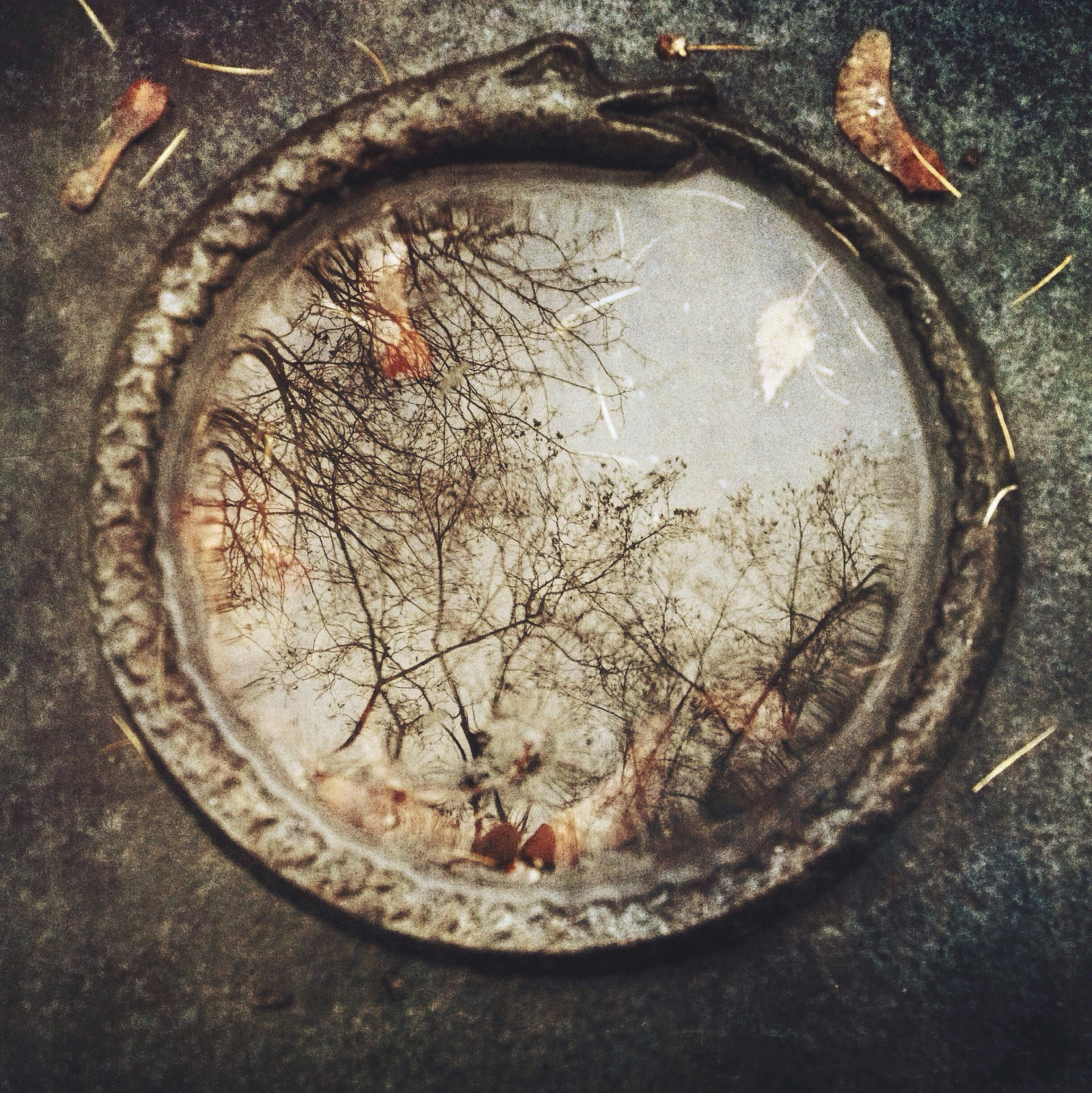 СНОВА СВЕЖАЯ ТРАВА, 2010–2015. Soulstamina ~ graphic designer & visual artist from St.Petersburg