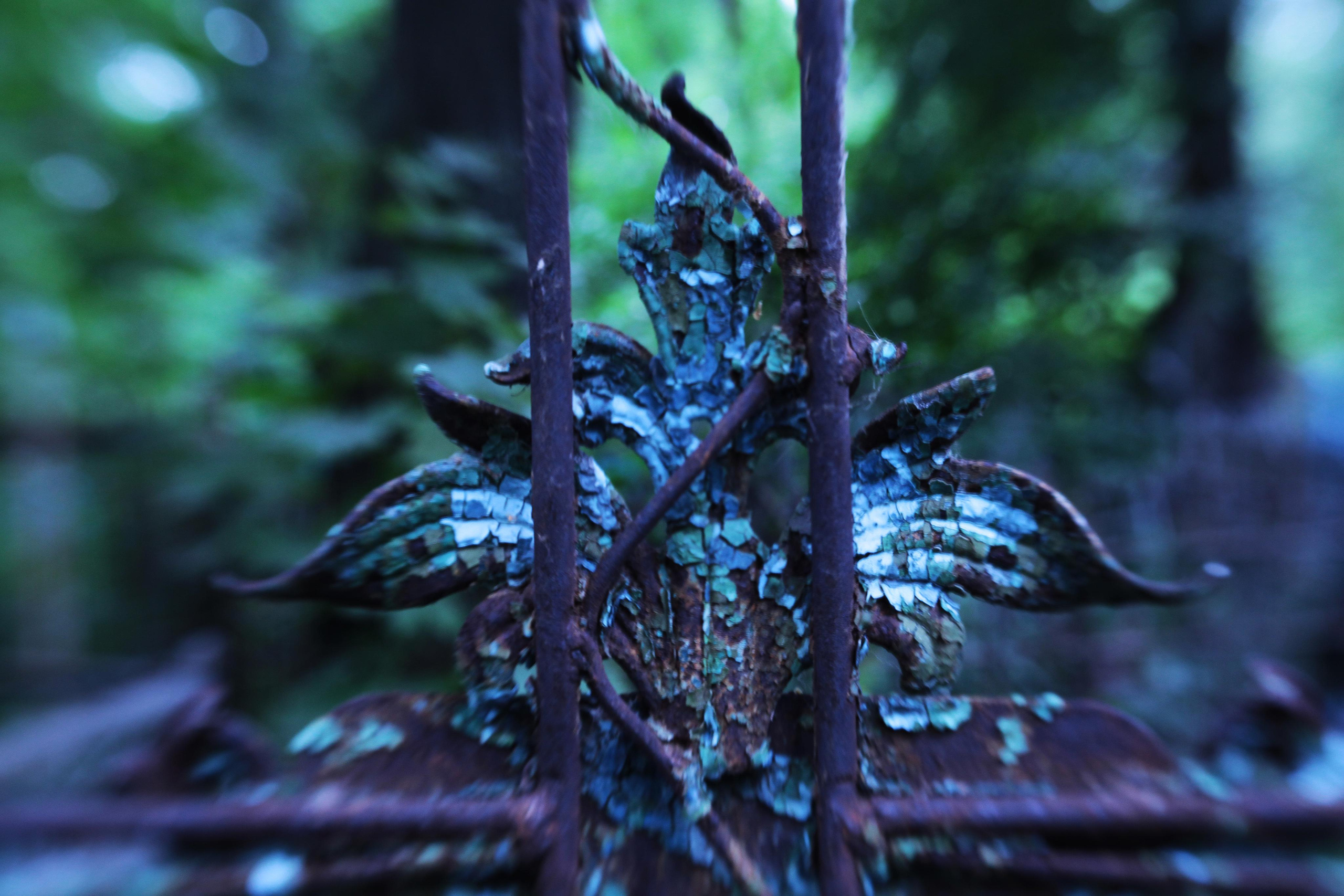 СНОВА СВЕЖАЯ ТРАВА, 2010–2015. Soulstamina ~ graphic designer & visual artist from St.Petersburg