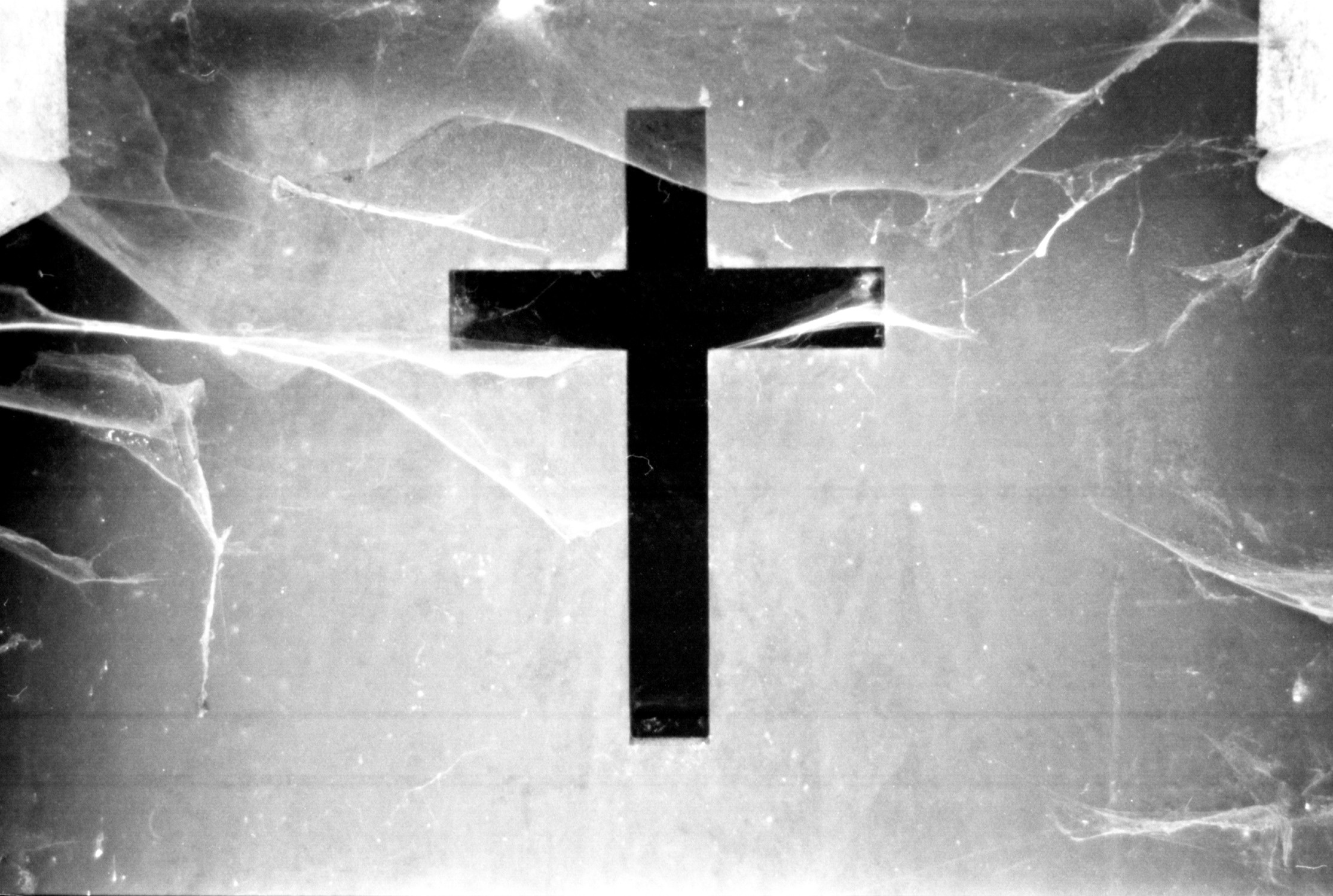 СНОВА СВЕЖАЯ ТРАВА, 2010–2015. Soulstamina ~ graphic designer & visual artist from St.Petersburg