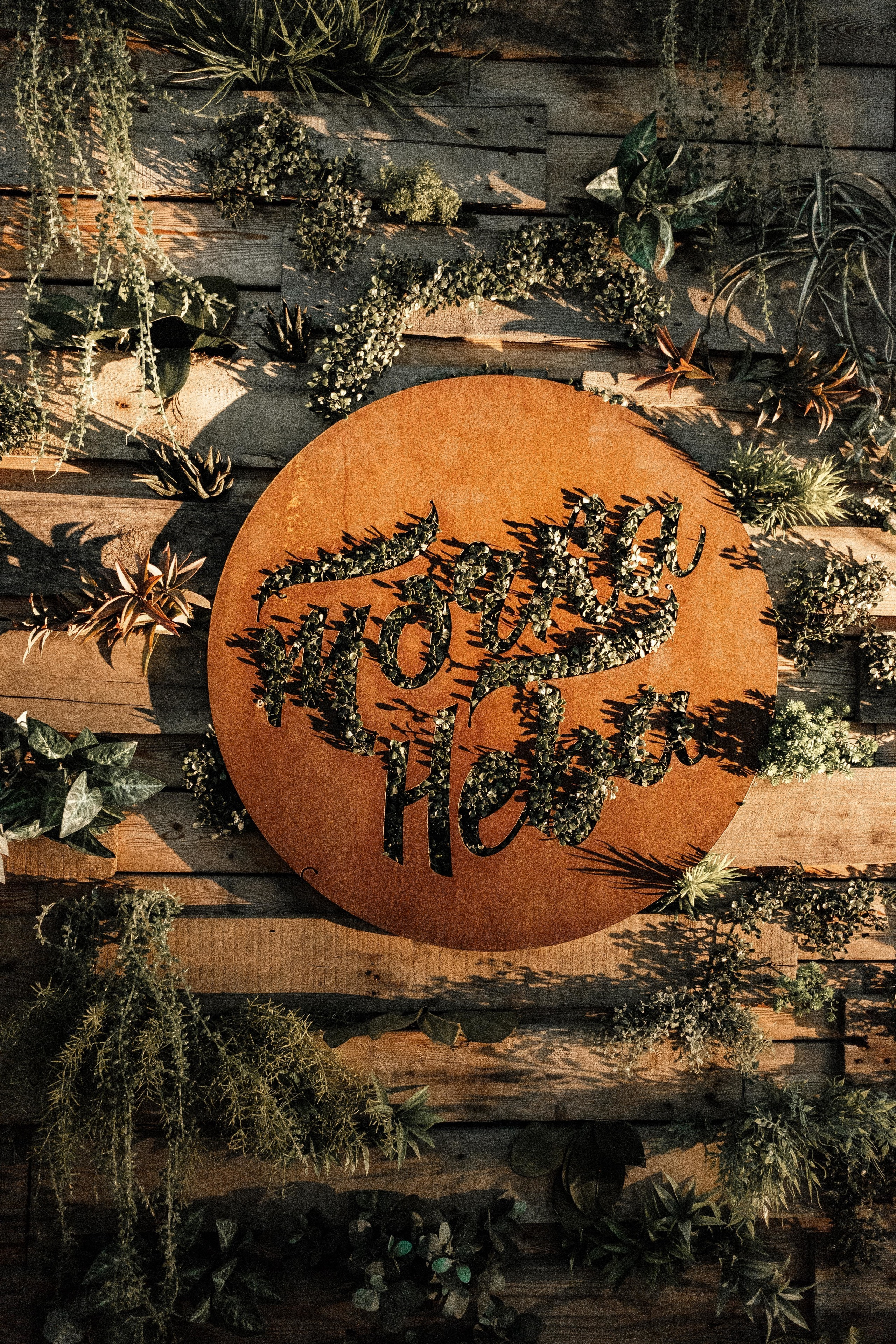 Точка Неба Краснодар. Фотограф в Сочи Краснодар Москва Руслан Поляков