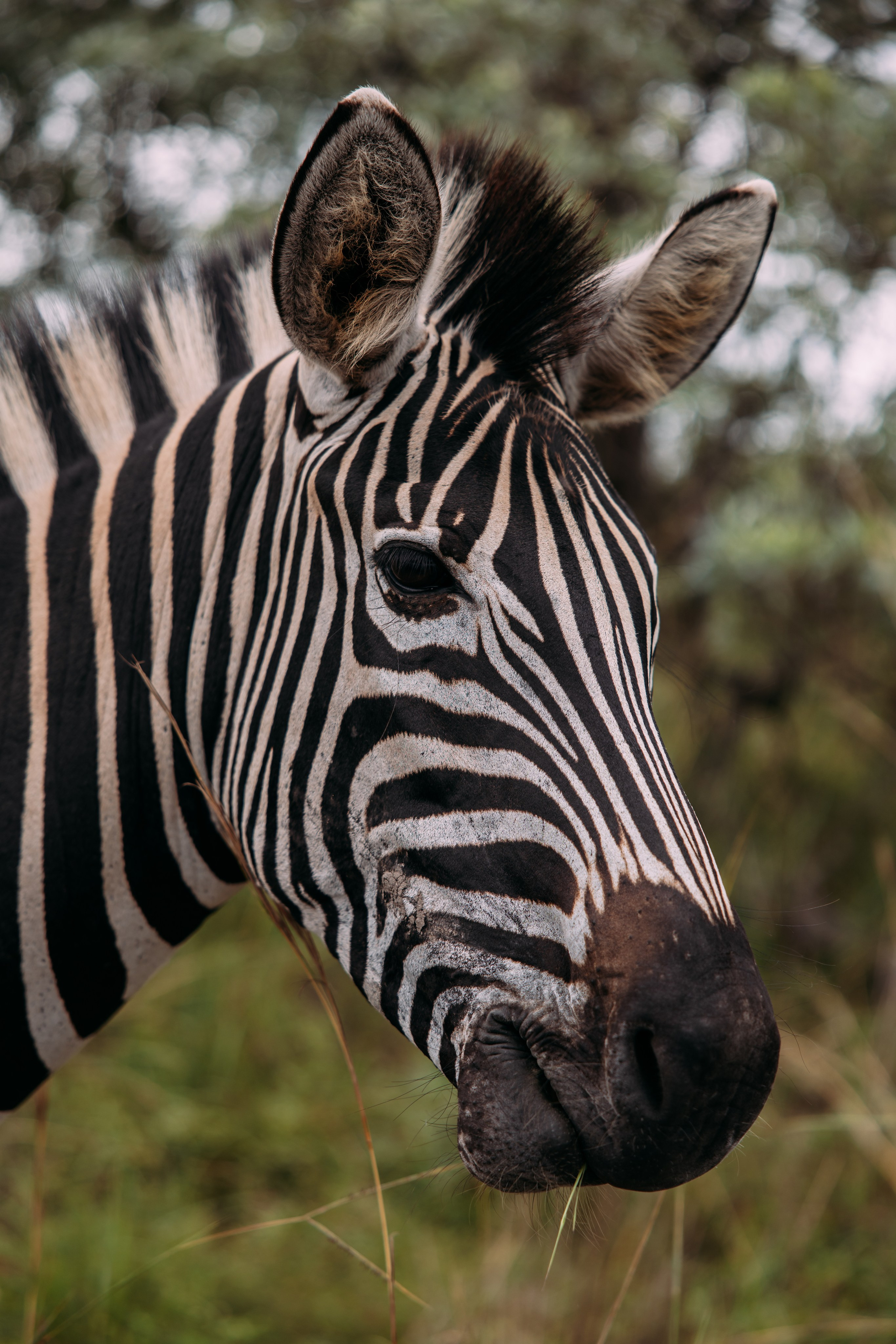 Фотограф Марина Аблаева-Кожедуб