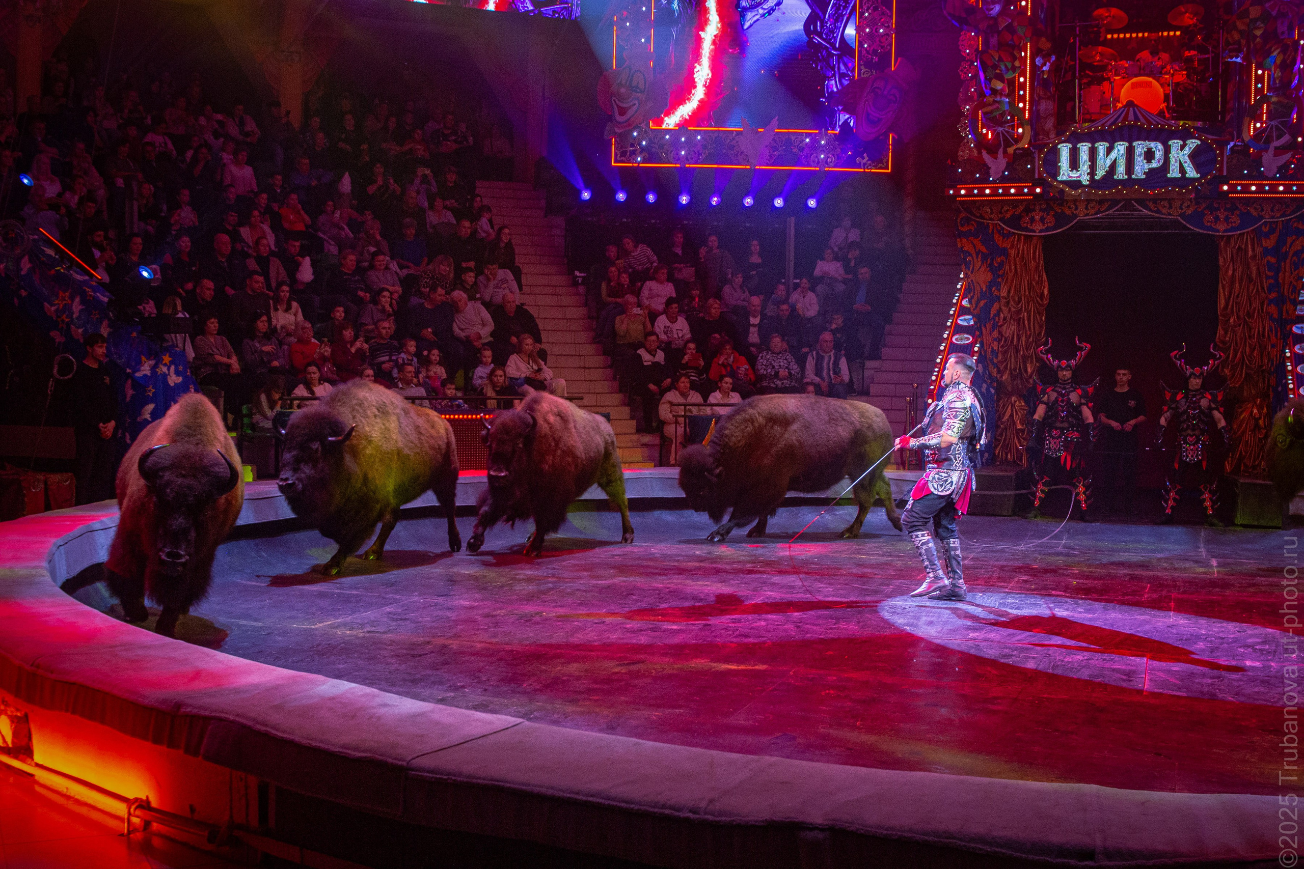 Сегодня все разговоры, что о цирке Продюсерский центр «Королевский цирк Гии Эрадзе»…. Юлия Трубанова, репортаж Симферополь, Крым