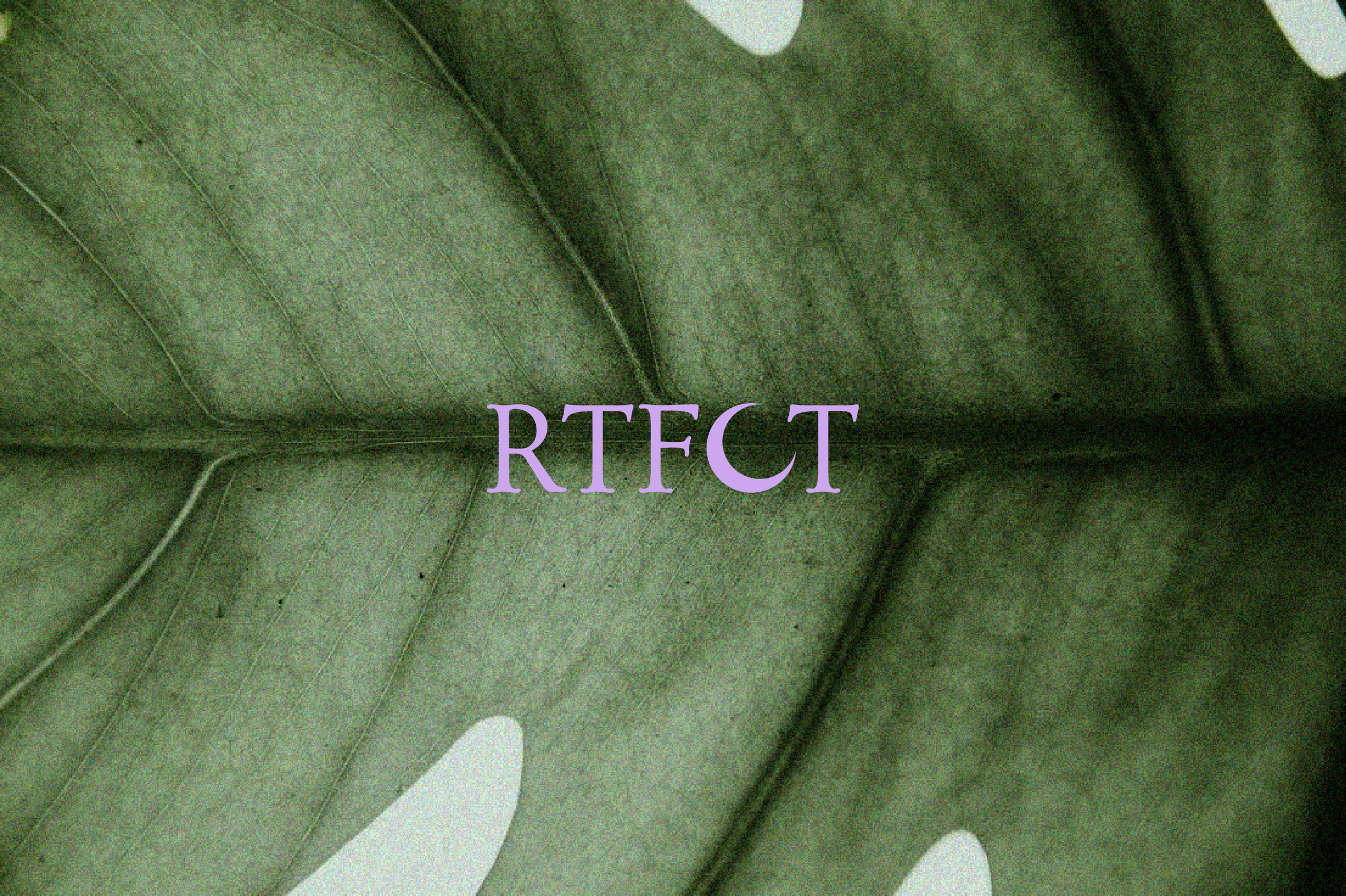 Обложка проекта с логотипом