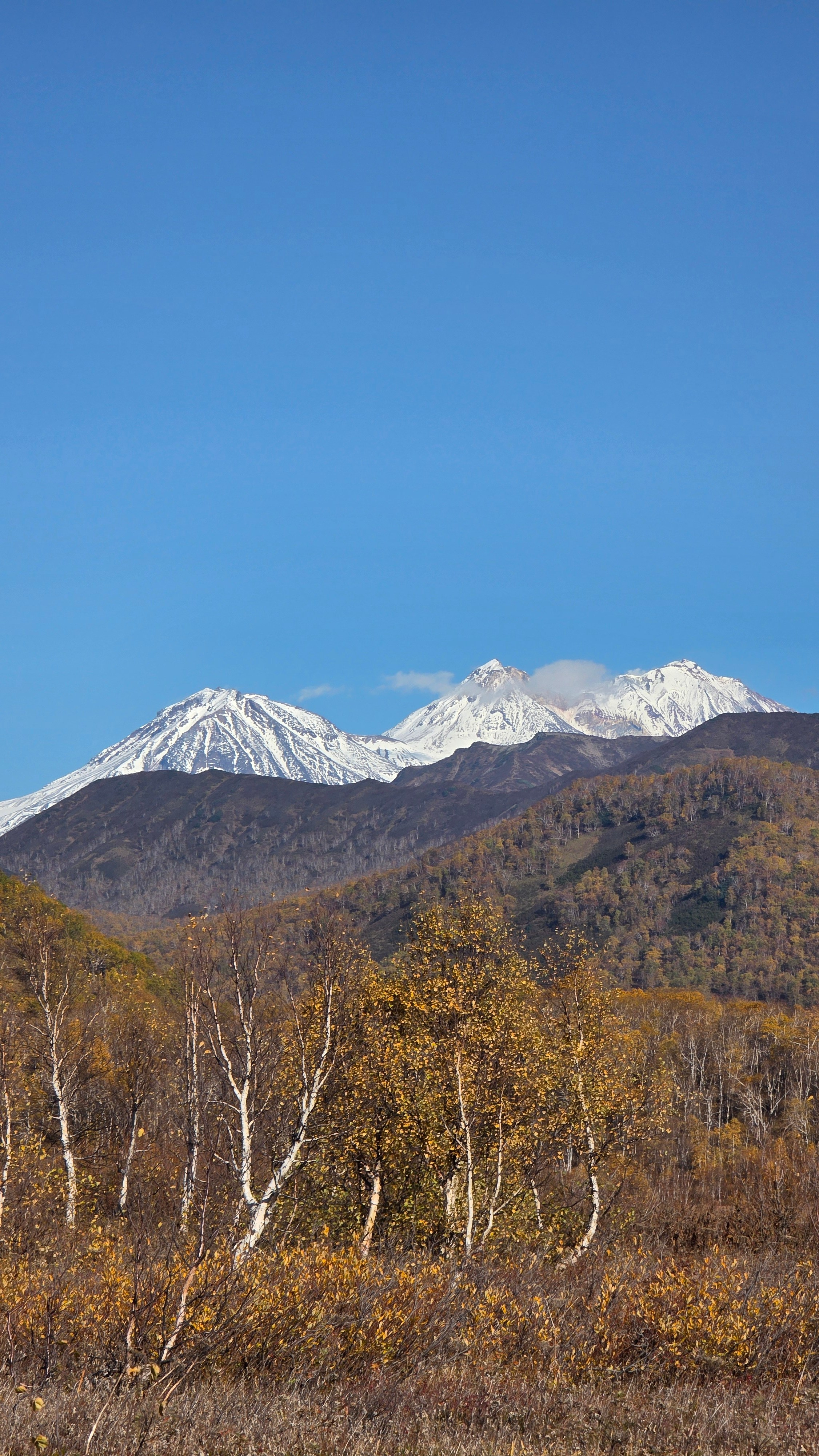 Вертолетная экскурсия в Долину гейзеров, кальдеру вулкана Узон и Налычевские горячие источники. Экскурсионные туры по Камчатке