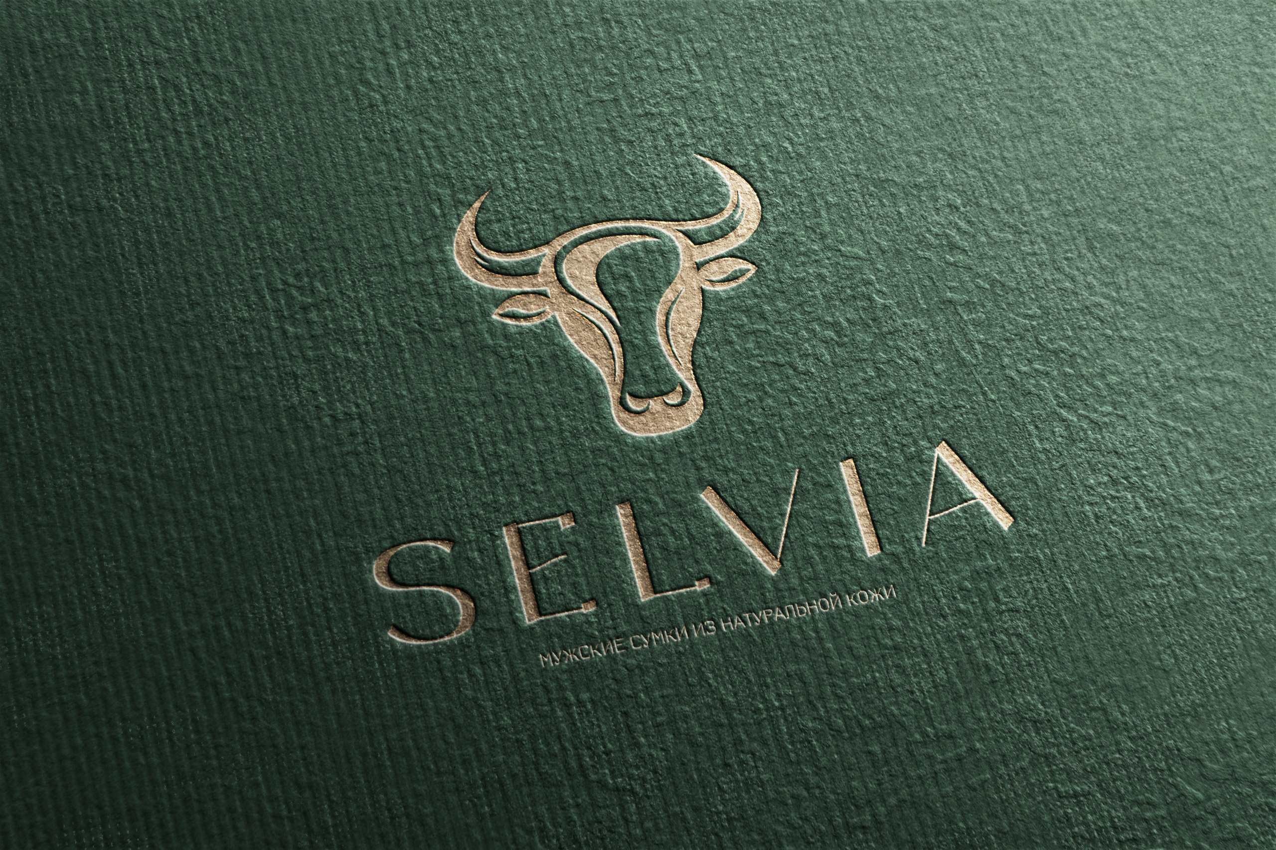 Логотип. ANNSOUL — графический и brand — дизайнер