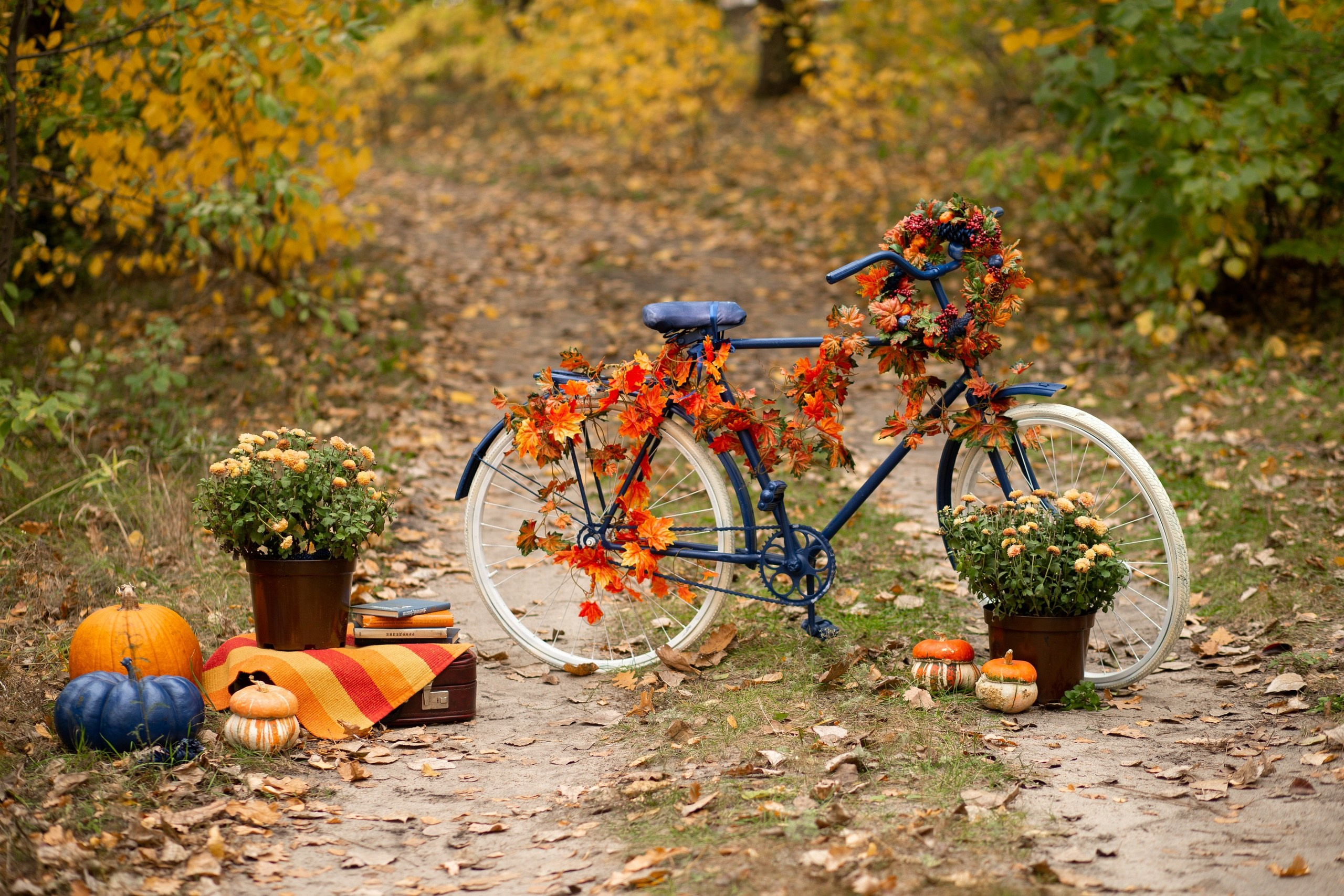ОСЕННИЕ ДЕКОРАЦИИ (5, 6, 13, 20 октября)). Семейный и свадебный фотограф в Воронеже Майя Добровольская