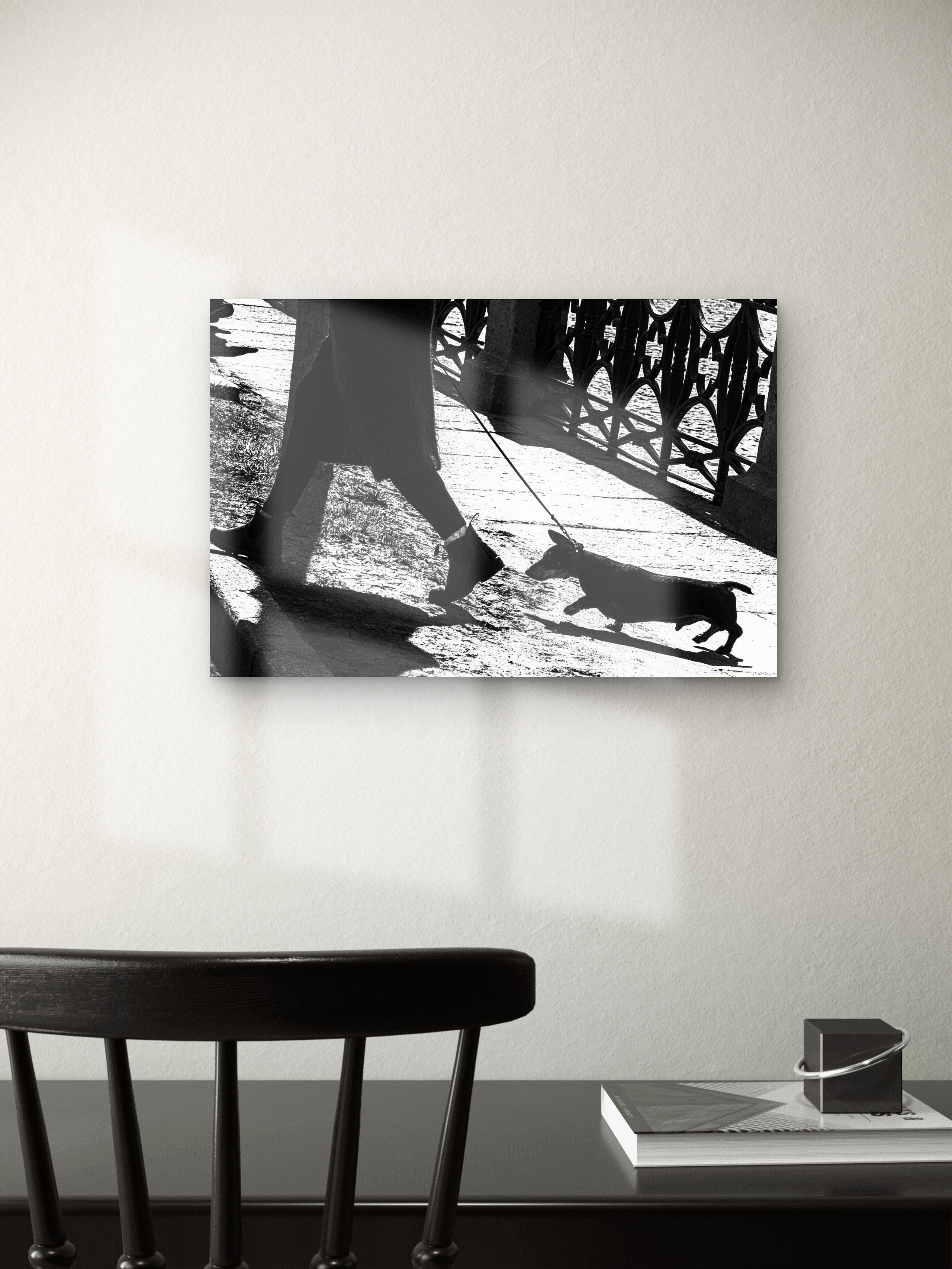 Order. Dimitri Bakhtadze photographer