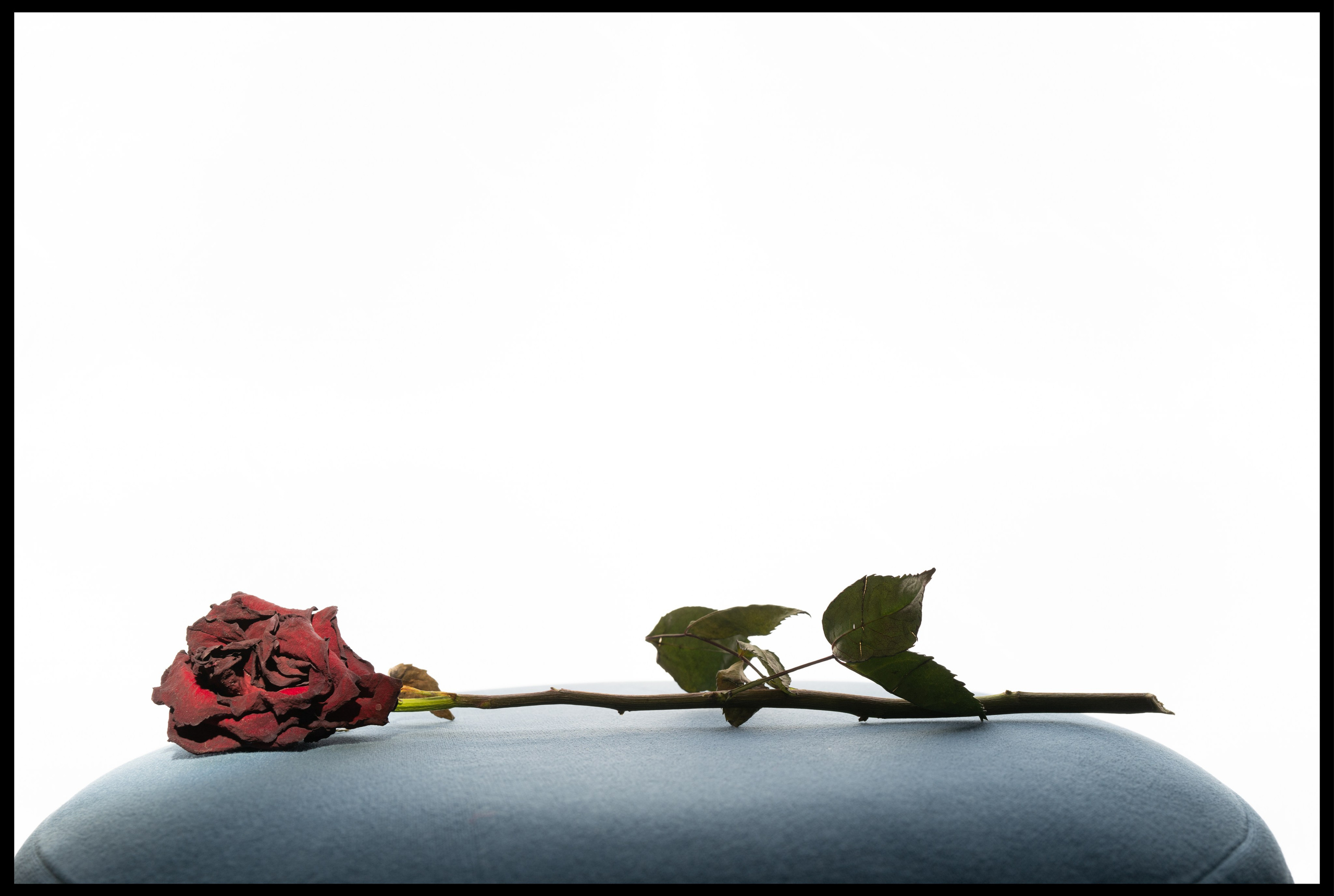 г.Кирово-Чепецк, 25.01.2025