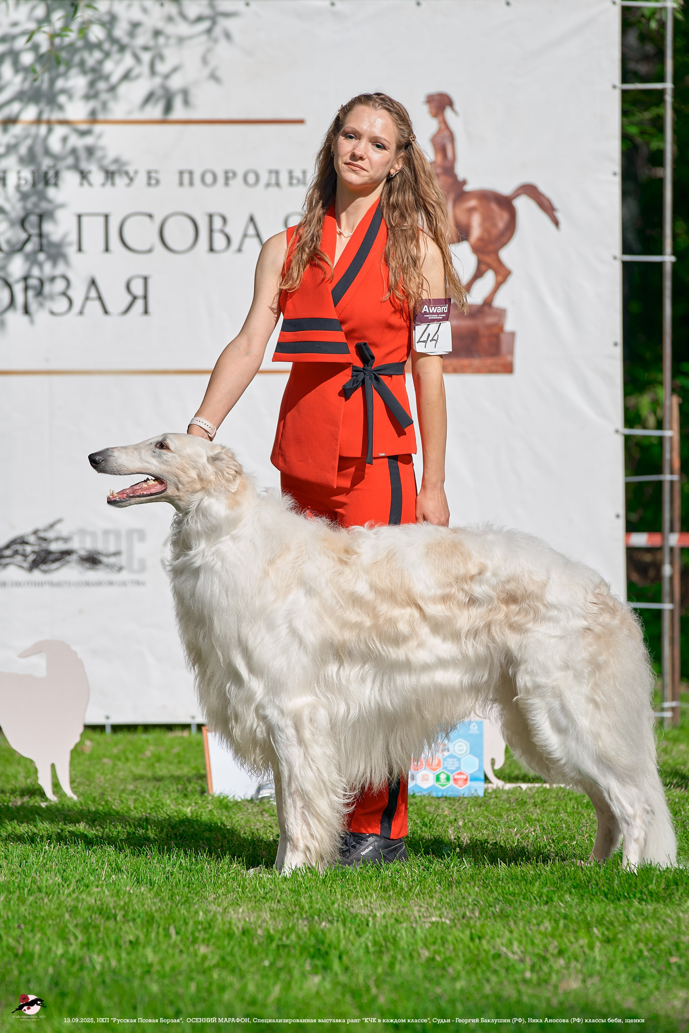 ОСЕННИЙ МАРАФОН | Специализированная выставка породы Русская Псовая Борзая ранг "КЧК в каждом классе"