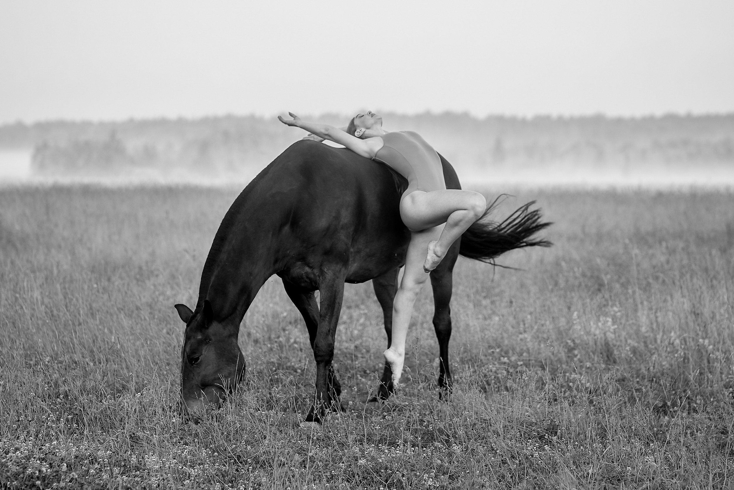 Балет и лошади, фотосессия «ГРАЦИЯ и СИЛА-1» Фотограф Михаил Семенов г. Ярославль