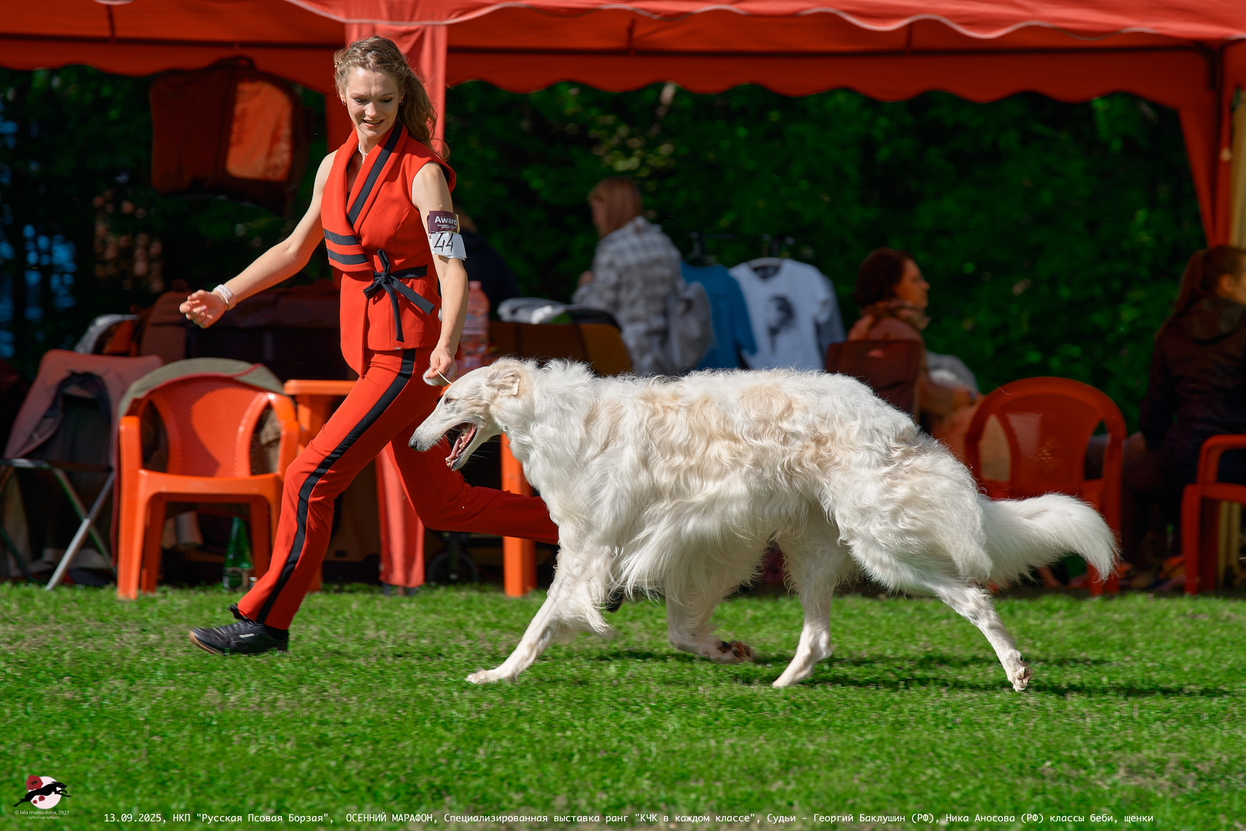 ОСЕННИЙ МАРАФОН | Специализированная выставка породы Русская Псовая Борзая ранг "КЧК в каждом классе"