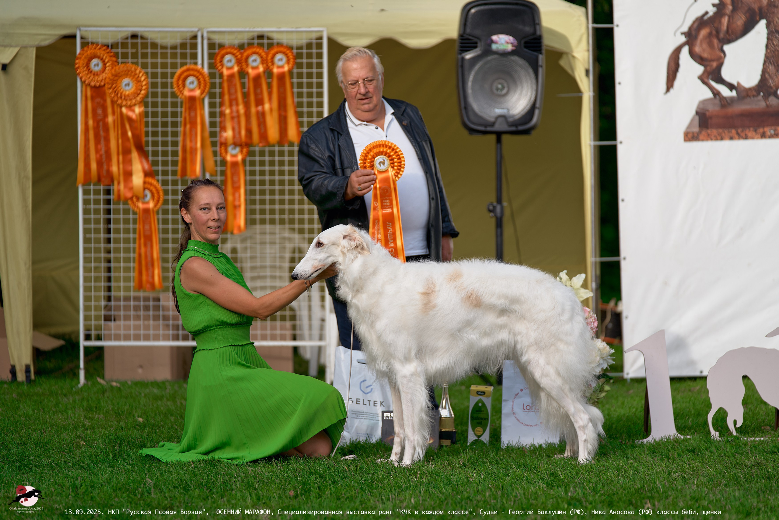 ОСЕННИЙ МАРАФОН | Специализированная выставка породы Русская Псовая Борзая ранг "КЧК в каждом классе"