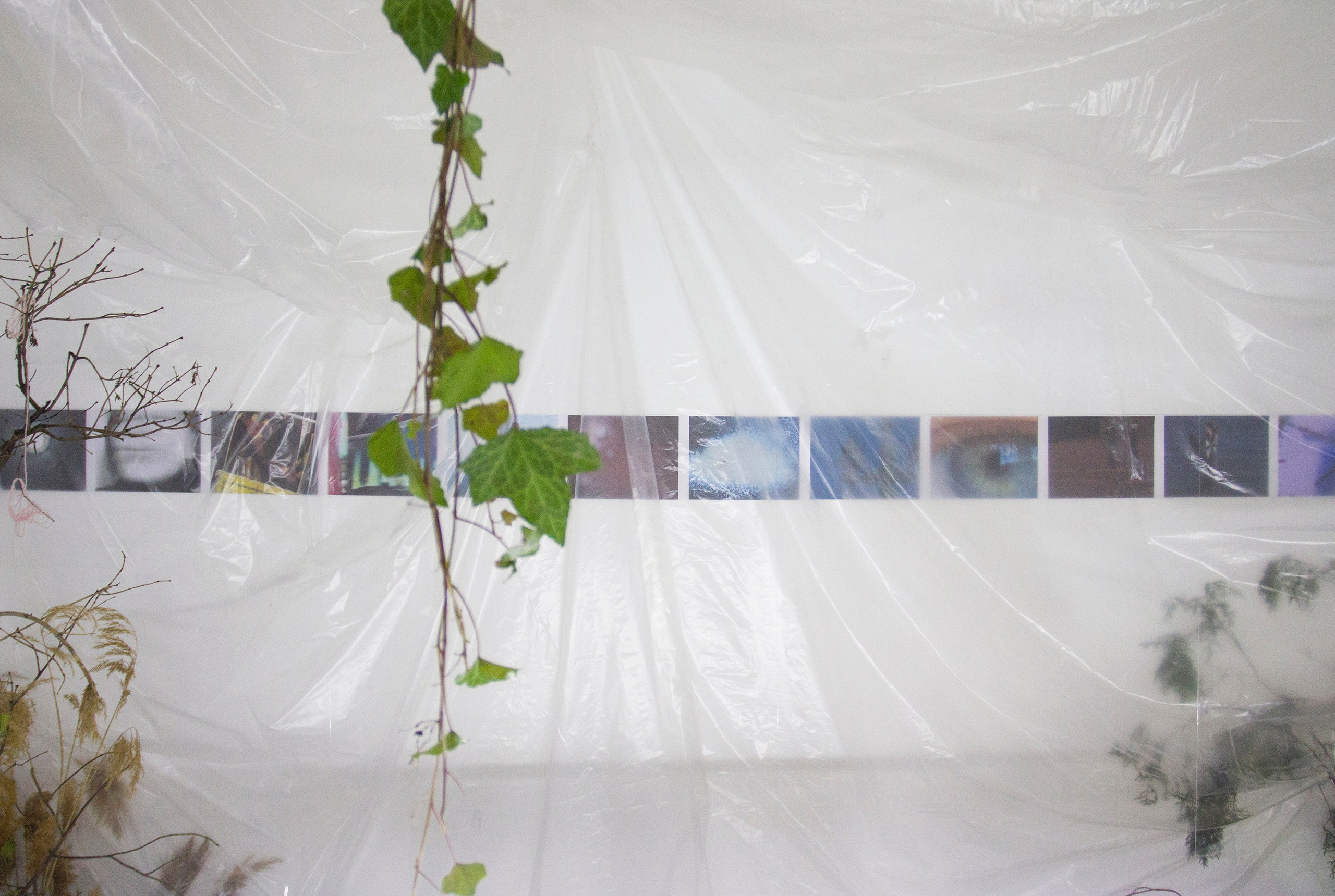 2024, The exhibition «How Do You Smell?». KST