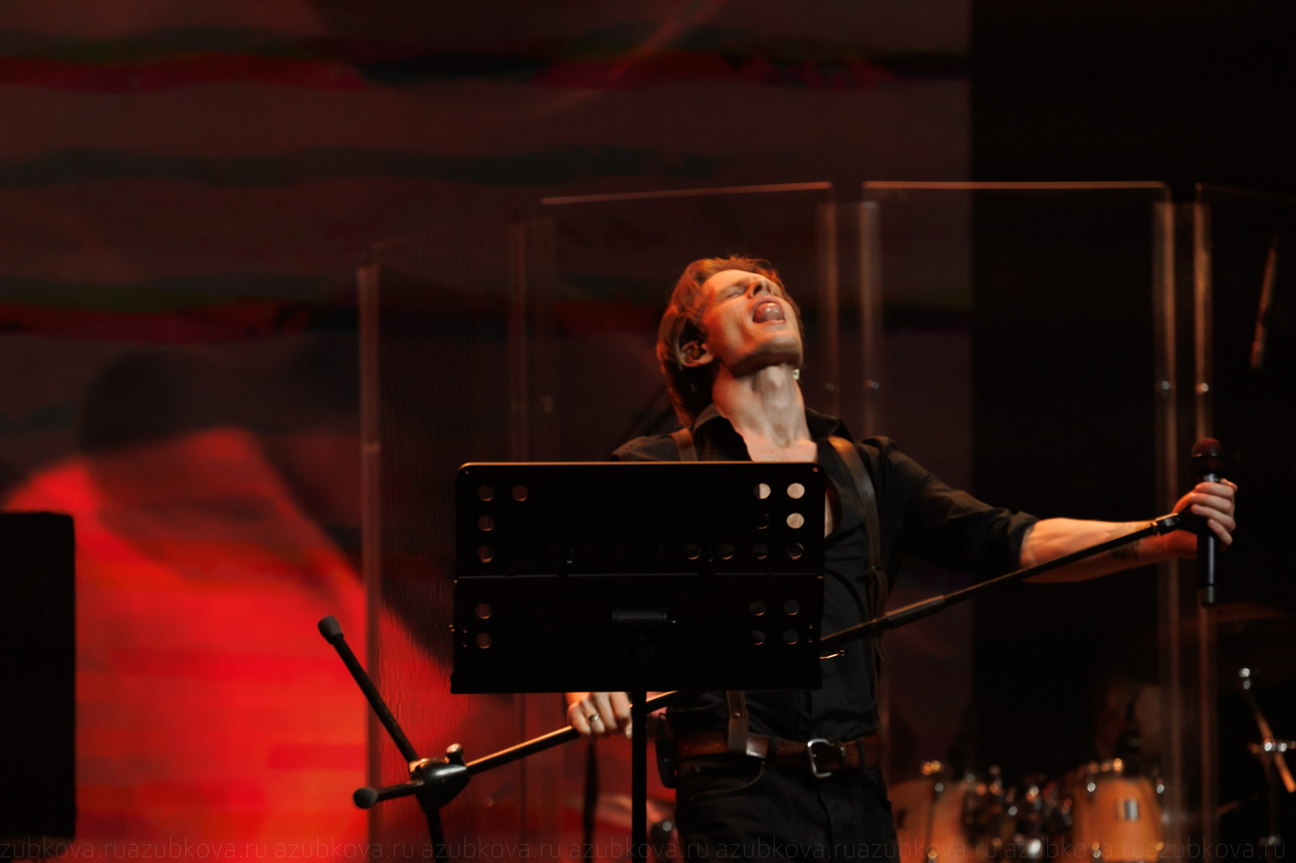 Sting Desert Rose Symphony. Фотограф Анастасия Зубкова